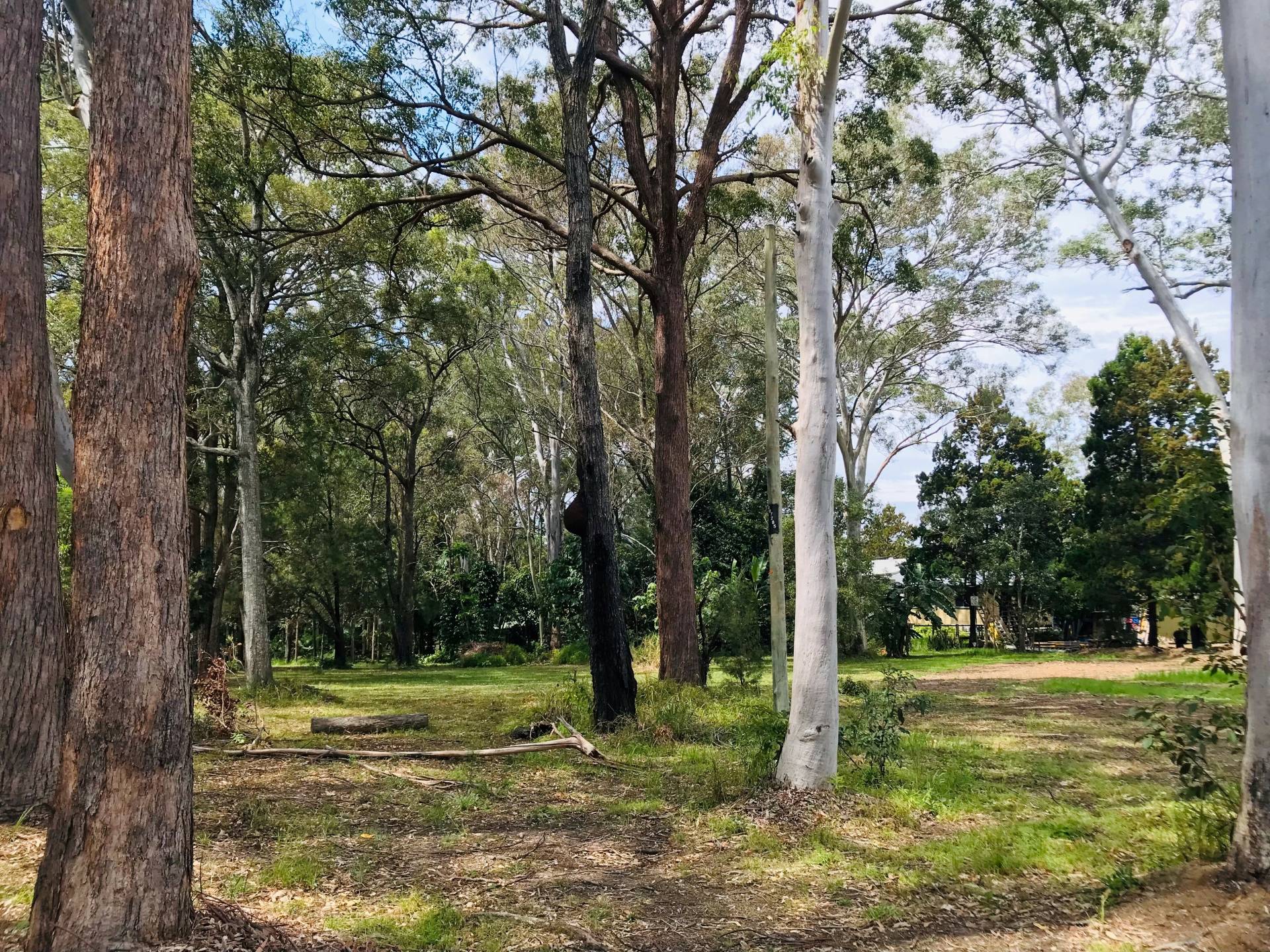 4 Walnut Ct, Macleay Island, Macleay Island - Thumbnail 2