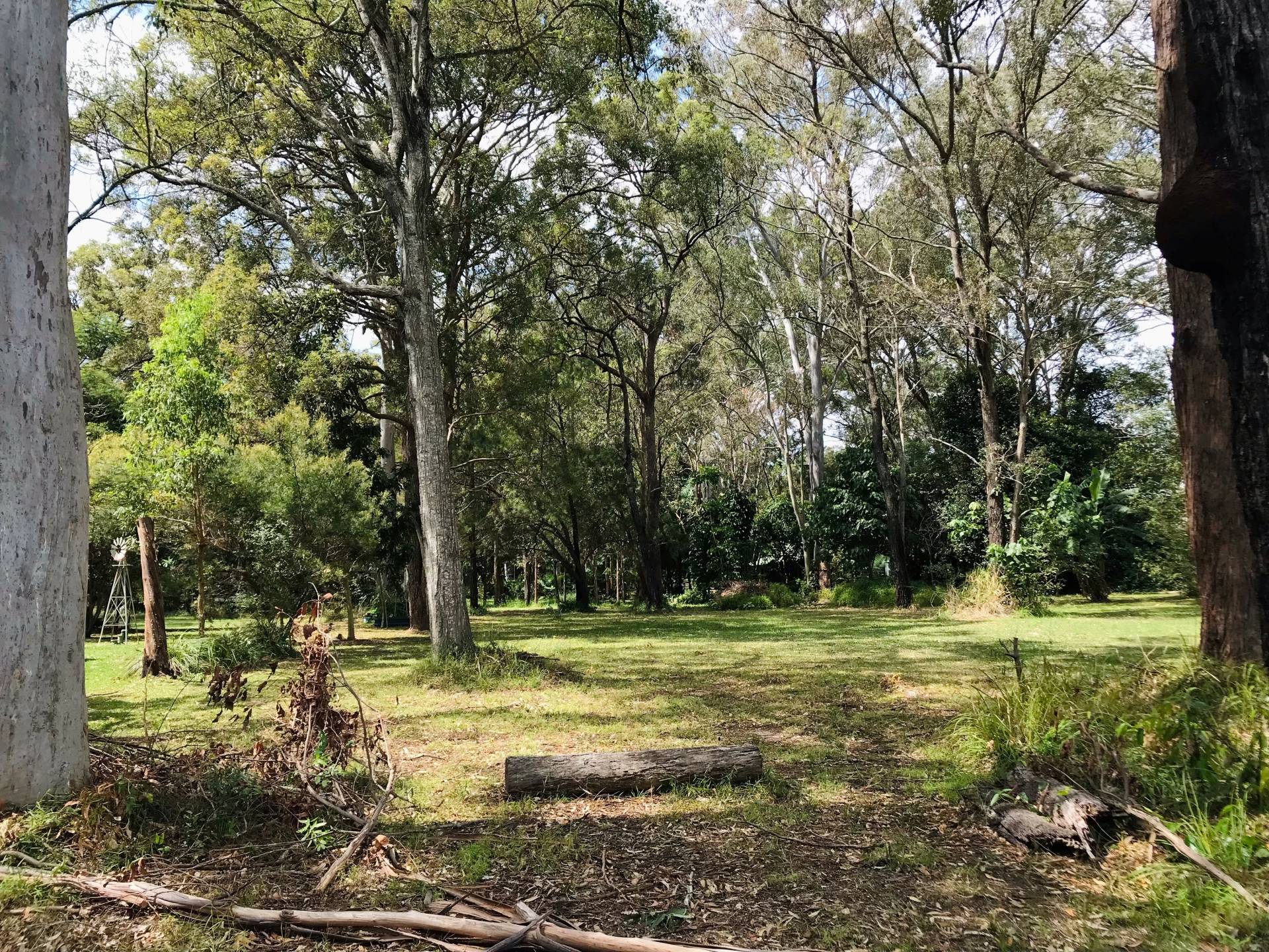 4 Walnut Ct, Macleay Island, Macleay Island - Thumbnail 6
