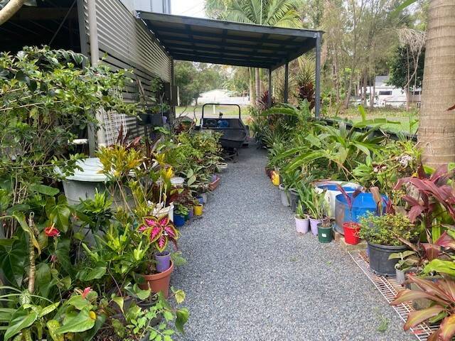13 Arthur St, Macleay Island, Macleay Island - Thumbnail 3