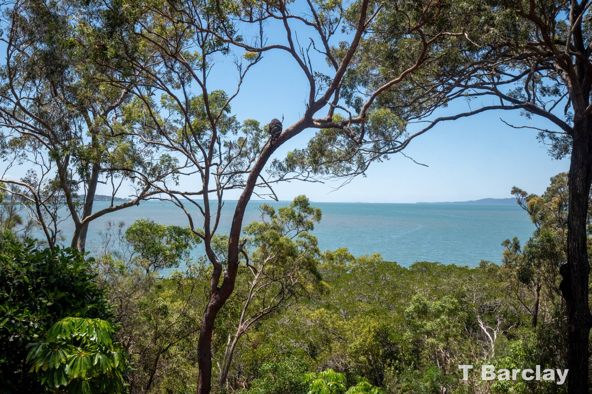 59 Perulpa Dr, Lamb Island, Lamb Island - Thumbnail 7
