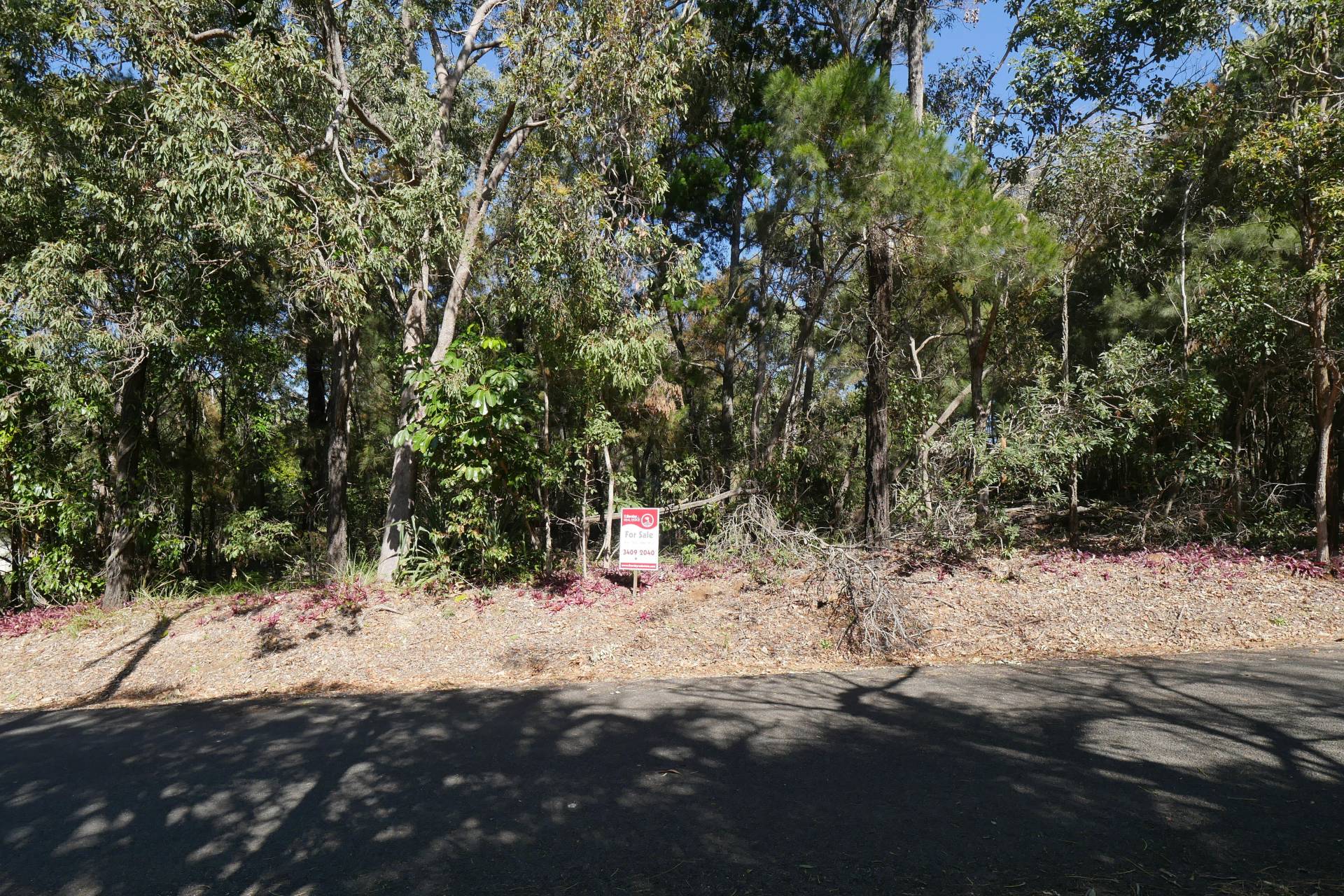18 Bruce Street, Lamb Island, Lamb Island - Thumbnail 7