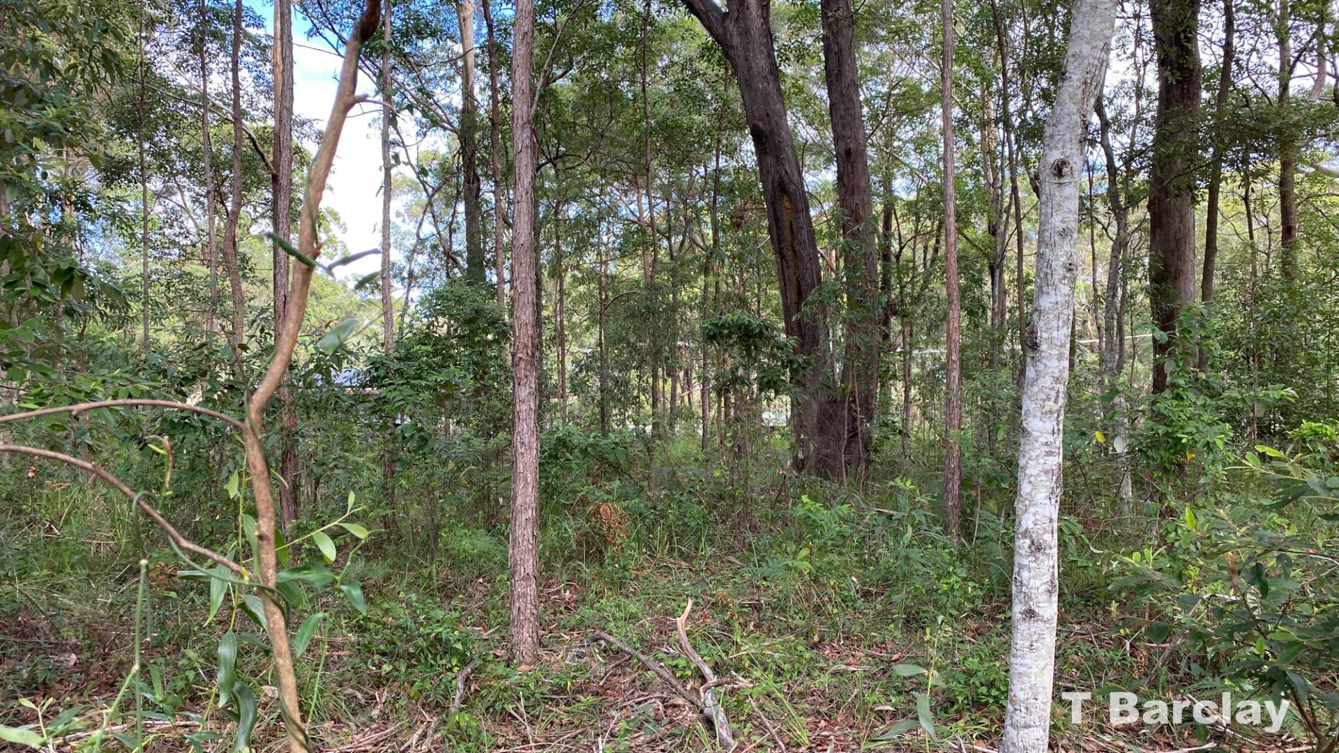 22 Angorra St, Russell Island, Russell Island - Thumbnail 4