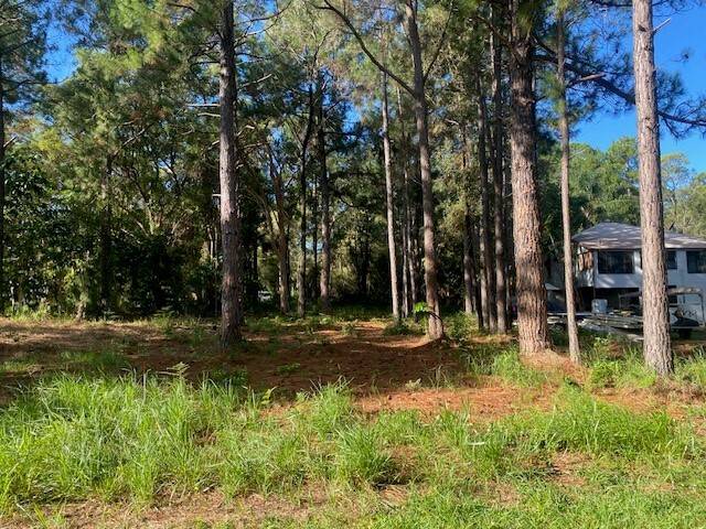 24 Arthur St, Macleay Island, Macleay Island - Thumbnail 3