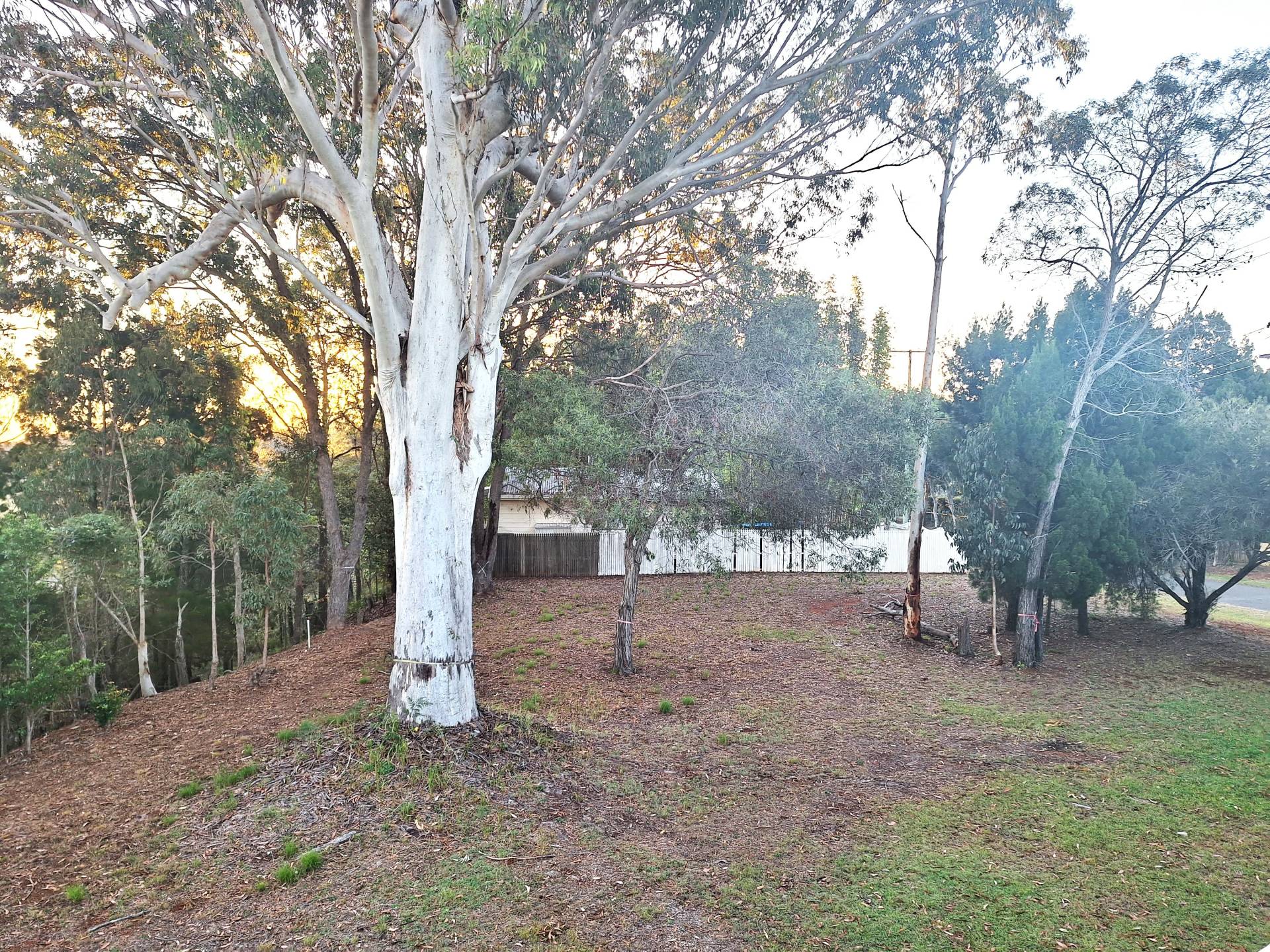 56-58 Treasure Island Ave, Karragarra Island, Karragarra Island - Thumbnail 4