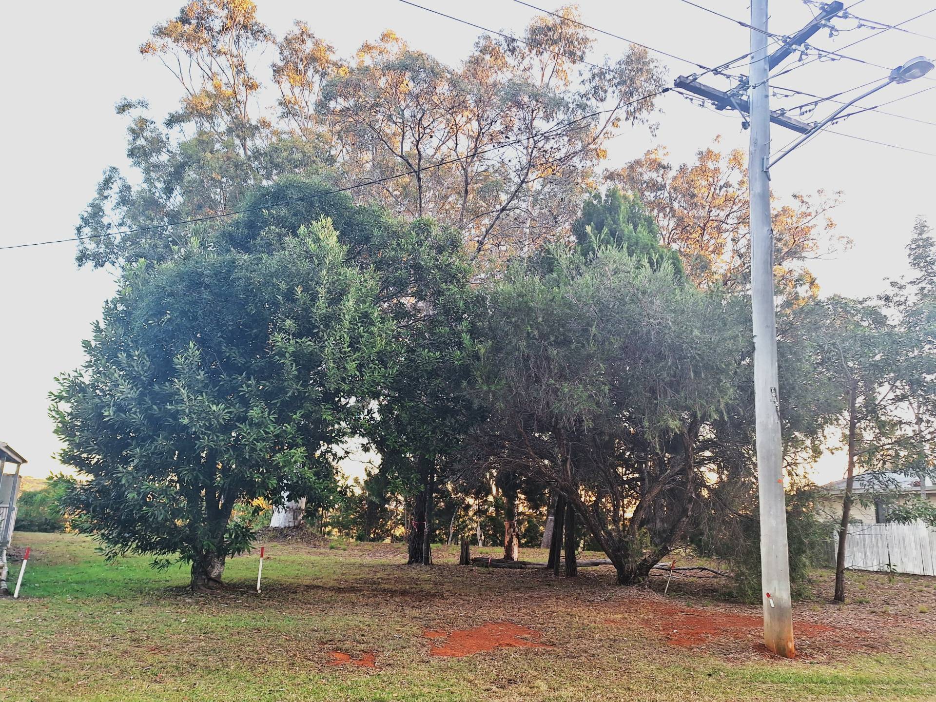 56-58 Treasure Island Ave, Karragarra Island, Karragarra Island - Thumbnail 5