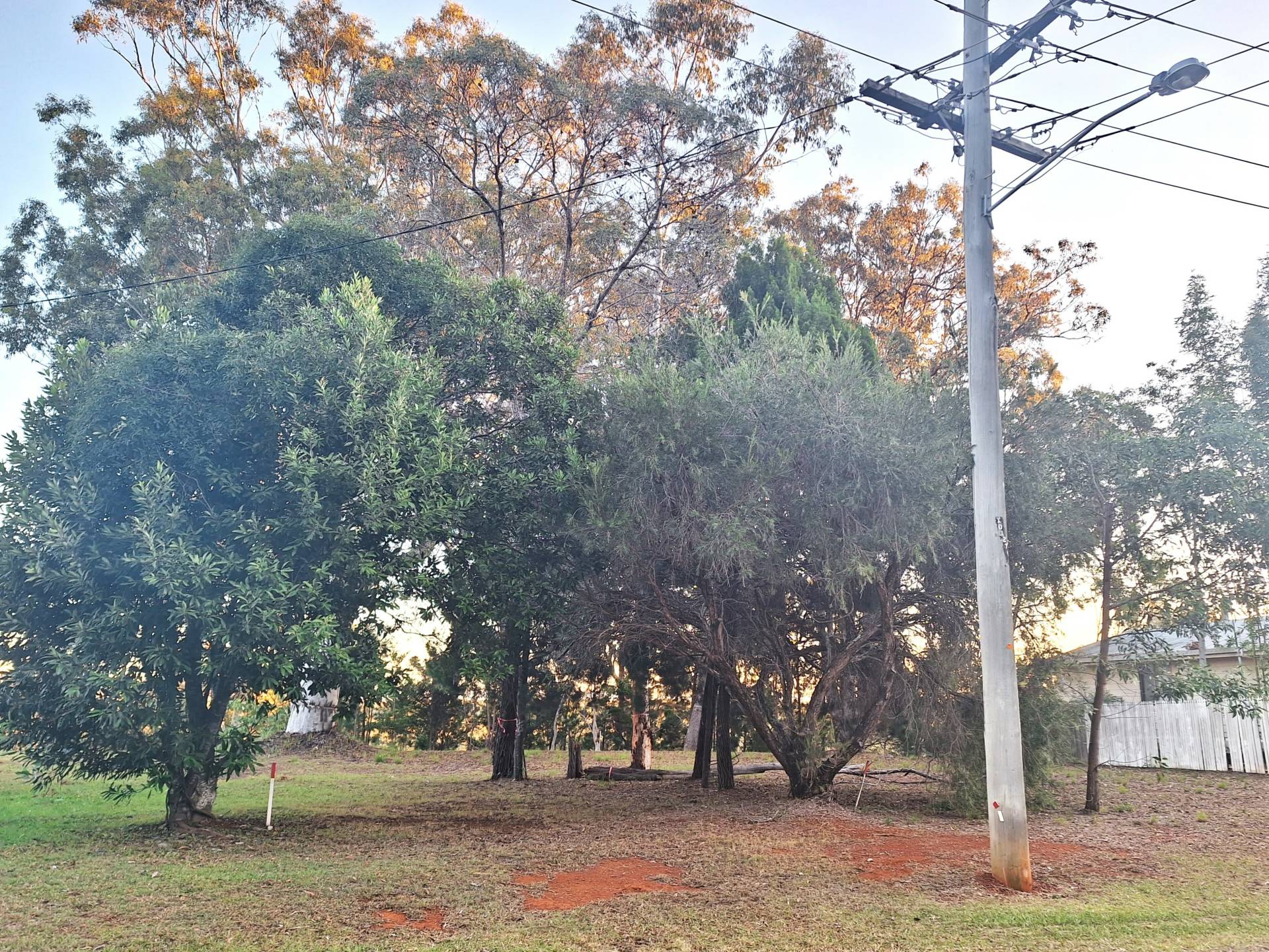 56-58 Treasure Island Ave, Karragarra Island, Karragarra Island - Thumbnail 6