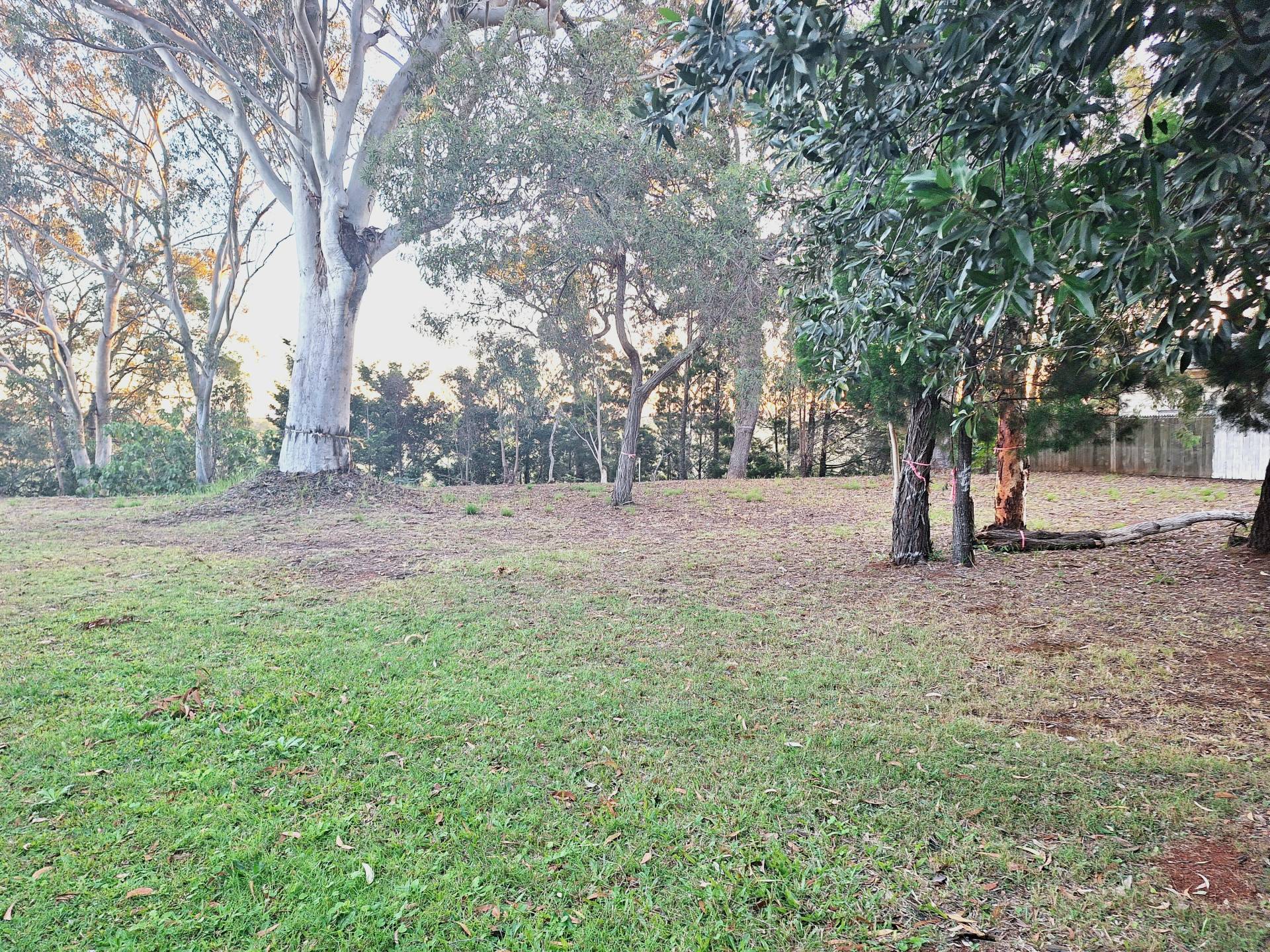 56-58 Treasure Island Ave, Karragarra Island, Karragarra Island - Thumbnail 2