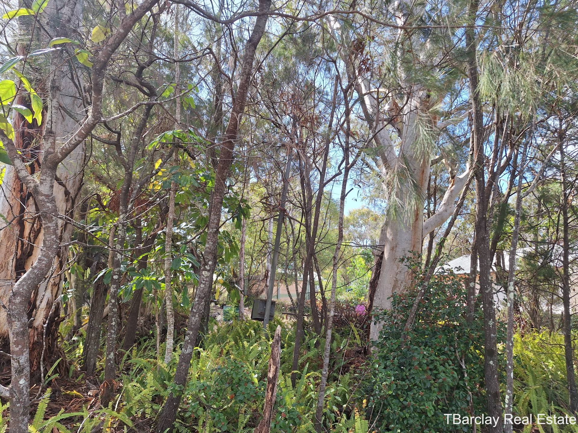 15 George St, Macleay Island, Macleay Island - Thumbnail 3