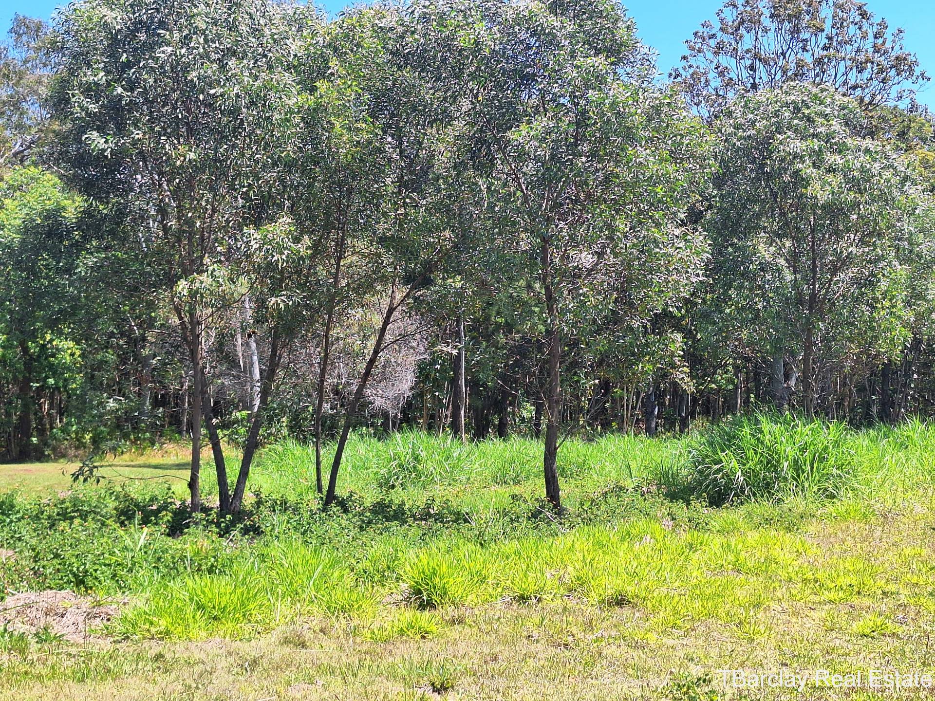 7 Jordan Ct, Macleay Island, Macleay Island - Thumbnail 4