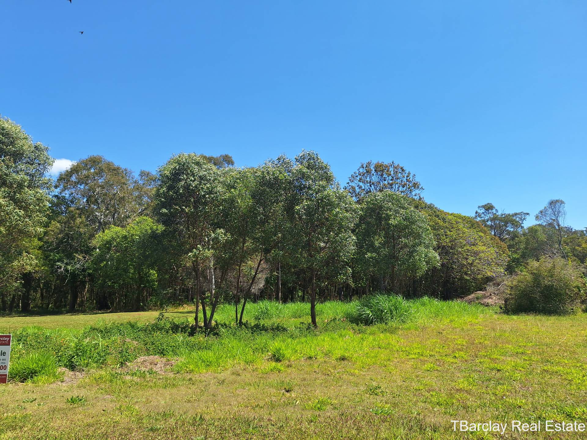 7 Jordan Ct, Macleay Island, Macleay Island - Thumbnail 7