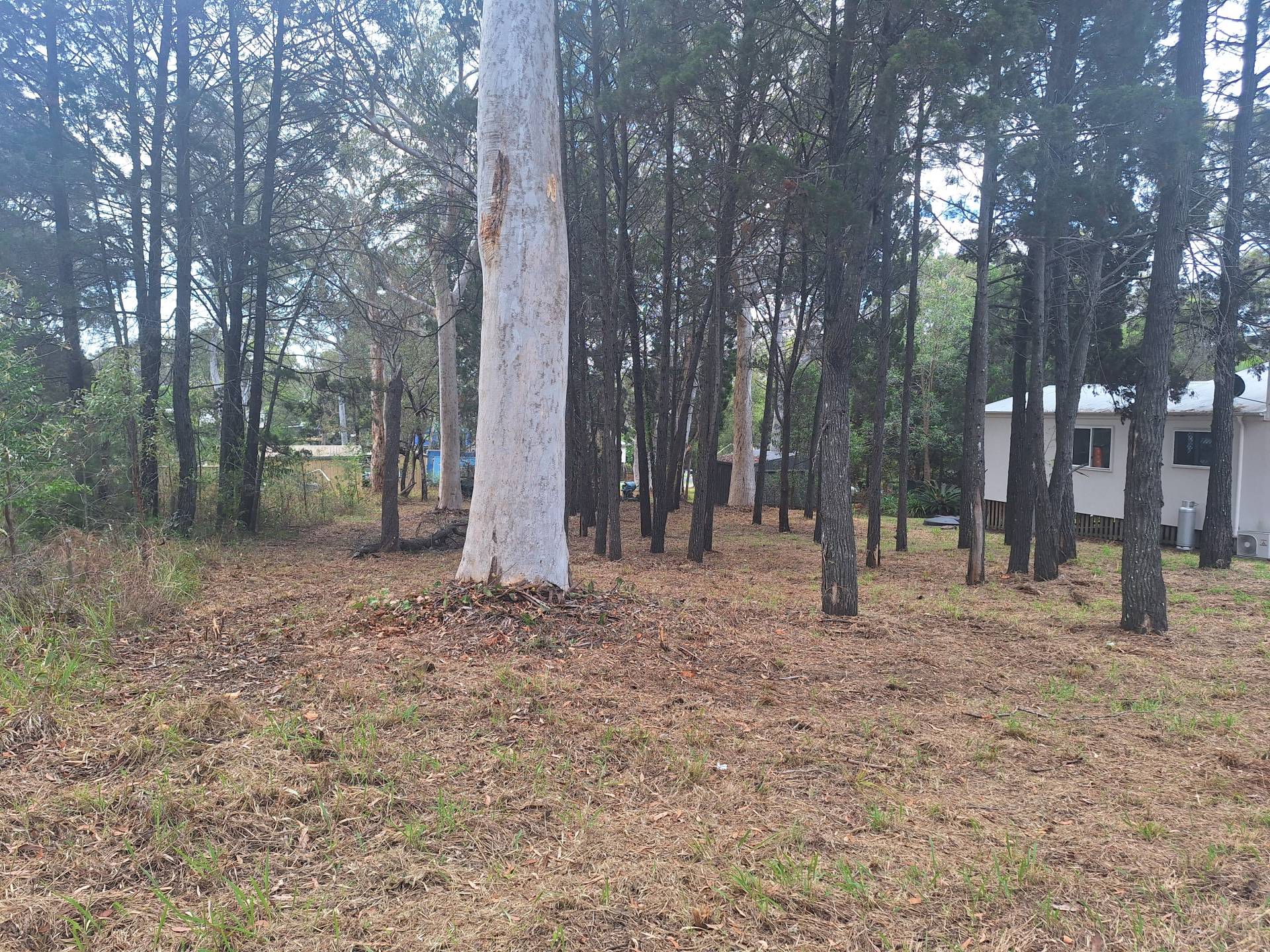 61 Kate Street, Macleay Island, Macleay Island - Thumbnail 3