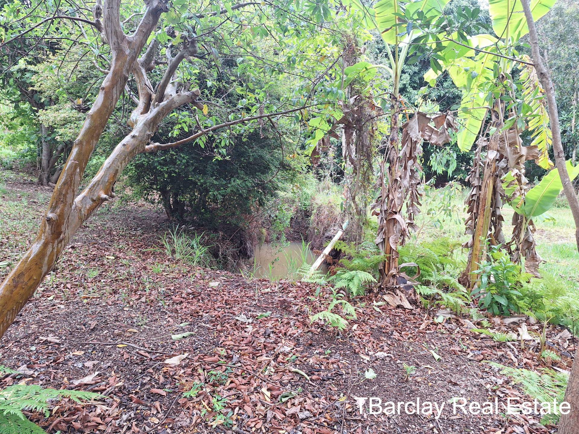 3 Con St, Macleay Island, Macleay Island - Thumbnail 6