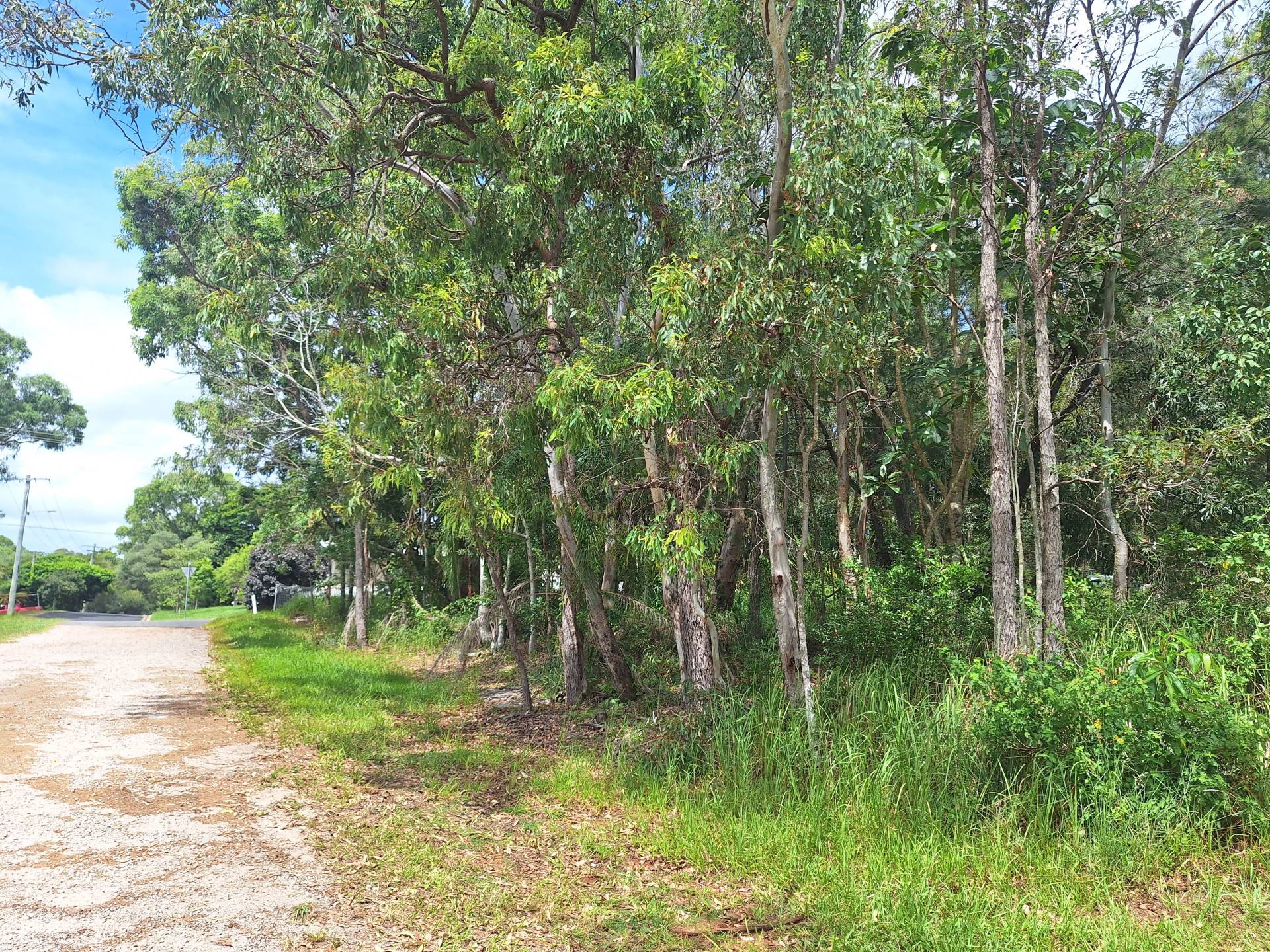 59 High Central Rd, Macleay Island, Macleay Island - Thumbnail 2