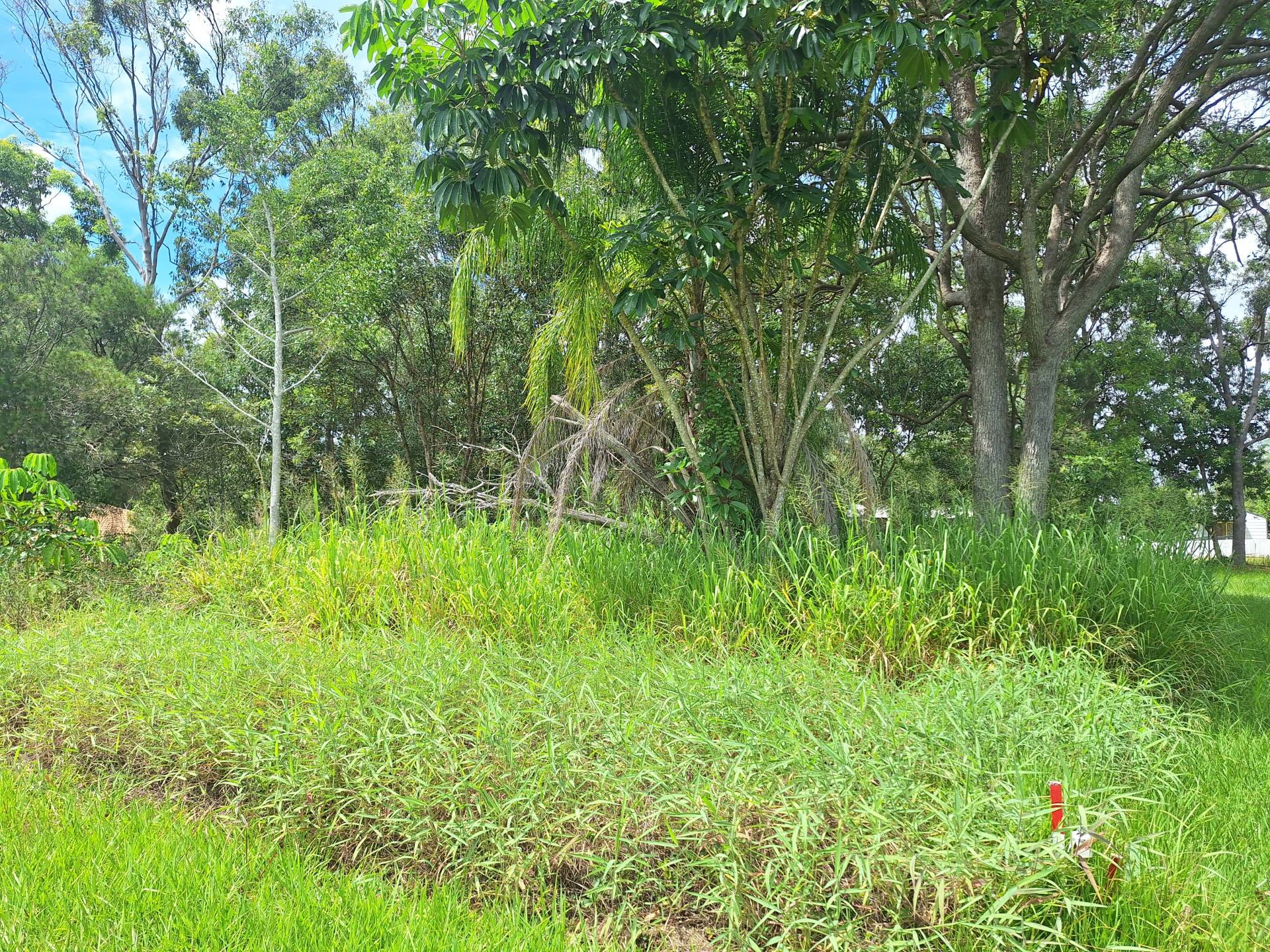 59 High Central Rd, Macleay Island, Macleay Island - Thumbnail 3