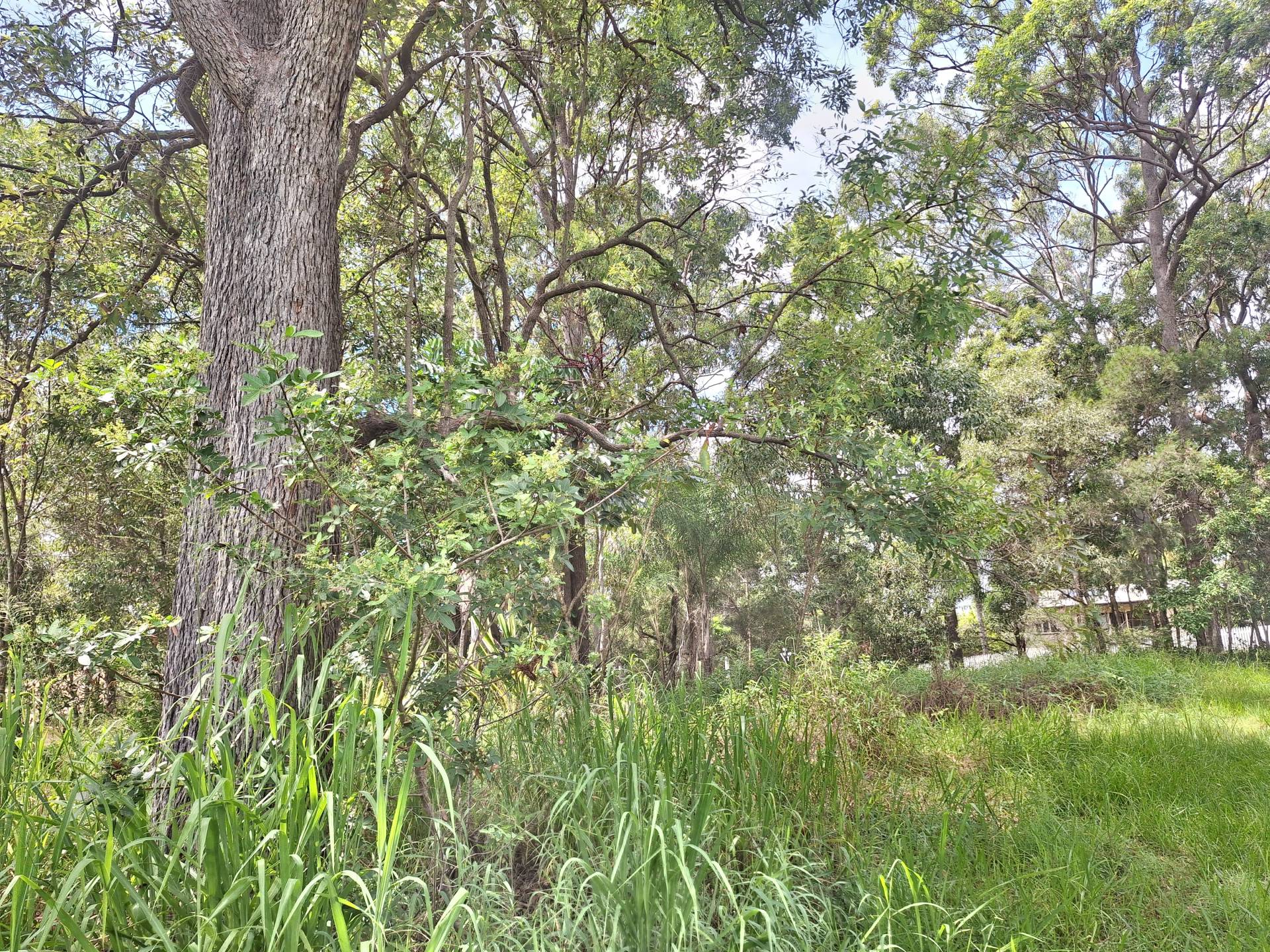 59 High Central Rd, Macleay Island, Macleay Island - Thumbnail 4