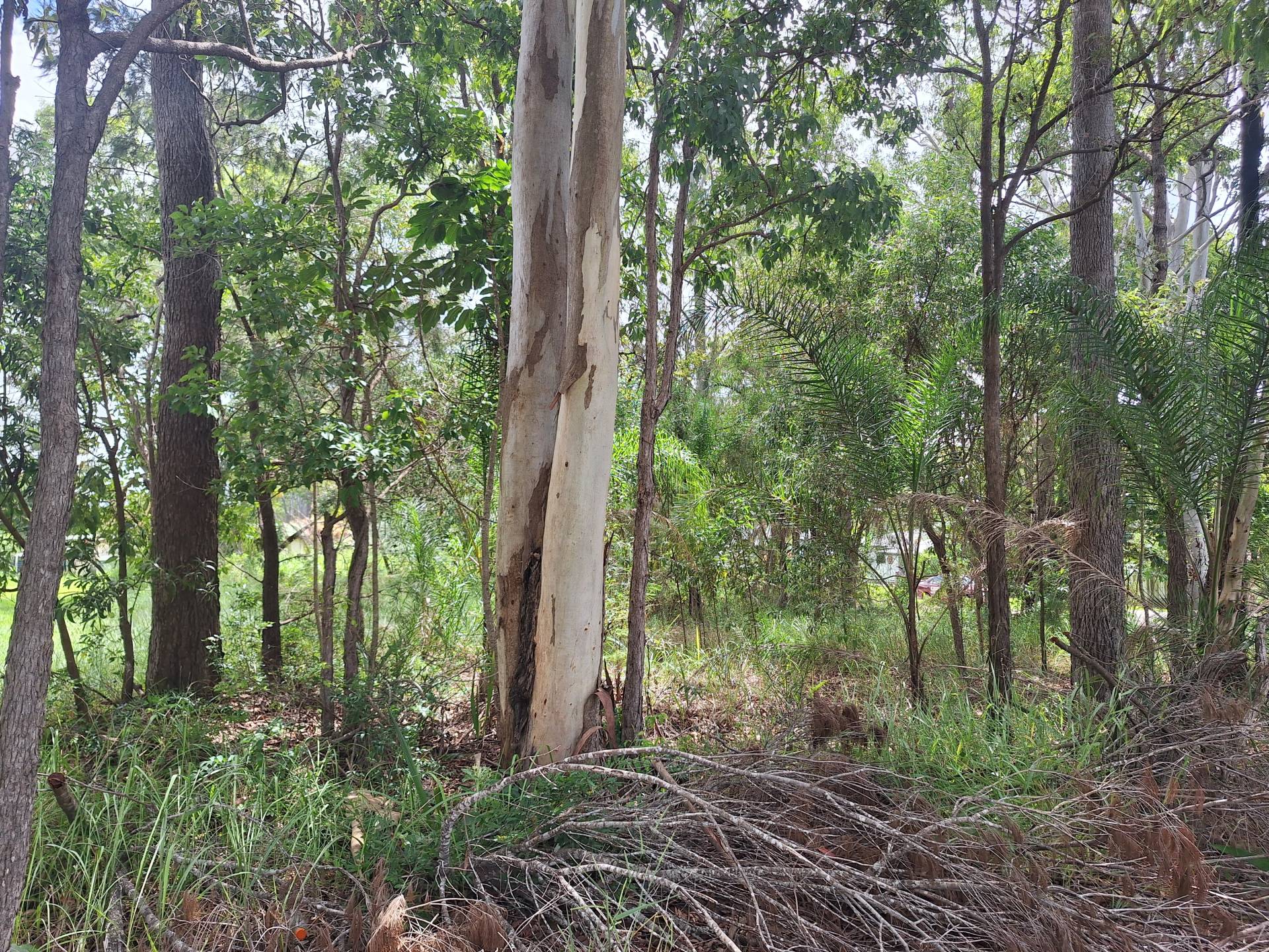59 High Central Rd, Macleay Island, Macleay Island - Thumbnail 5