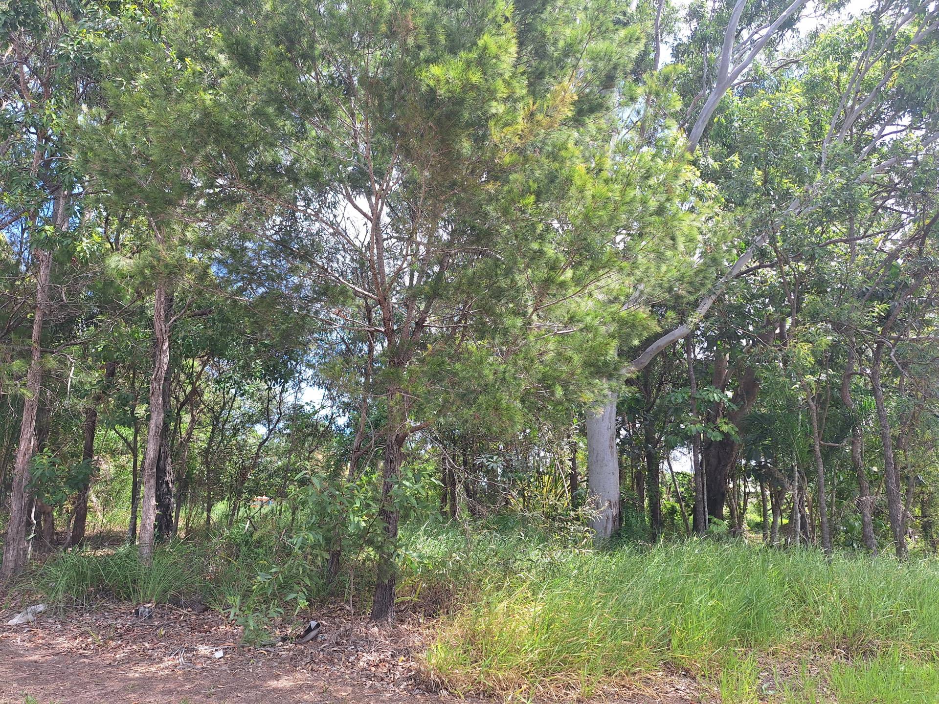 59 High Central Rd, Macleay Island, Macleay Island - Thumbnail 6