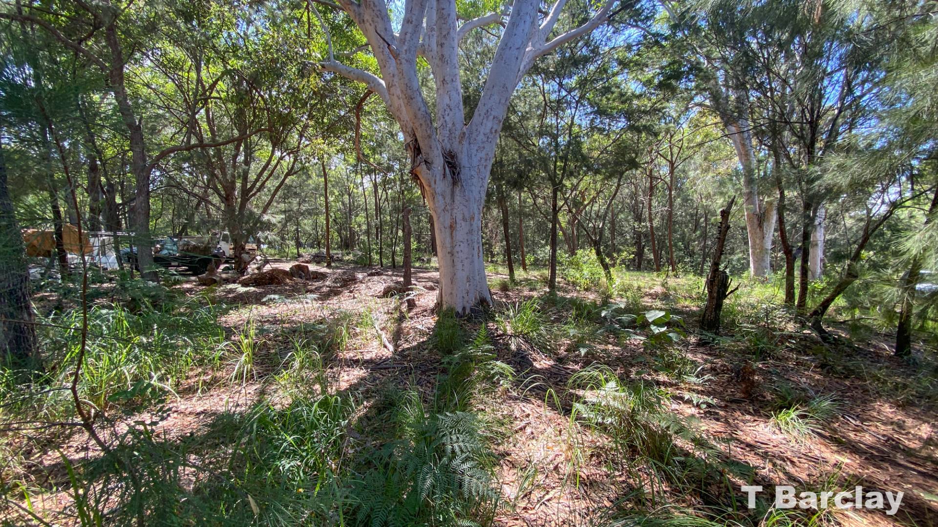 43 Tahlin Dr, Russell Island, Russell Island - Thumbnail 3