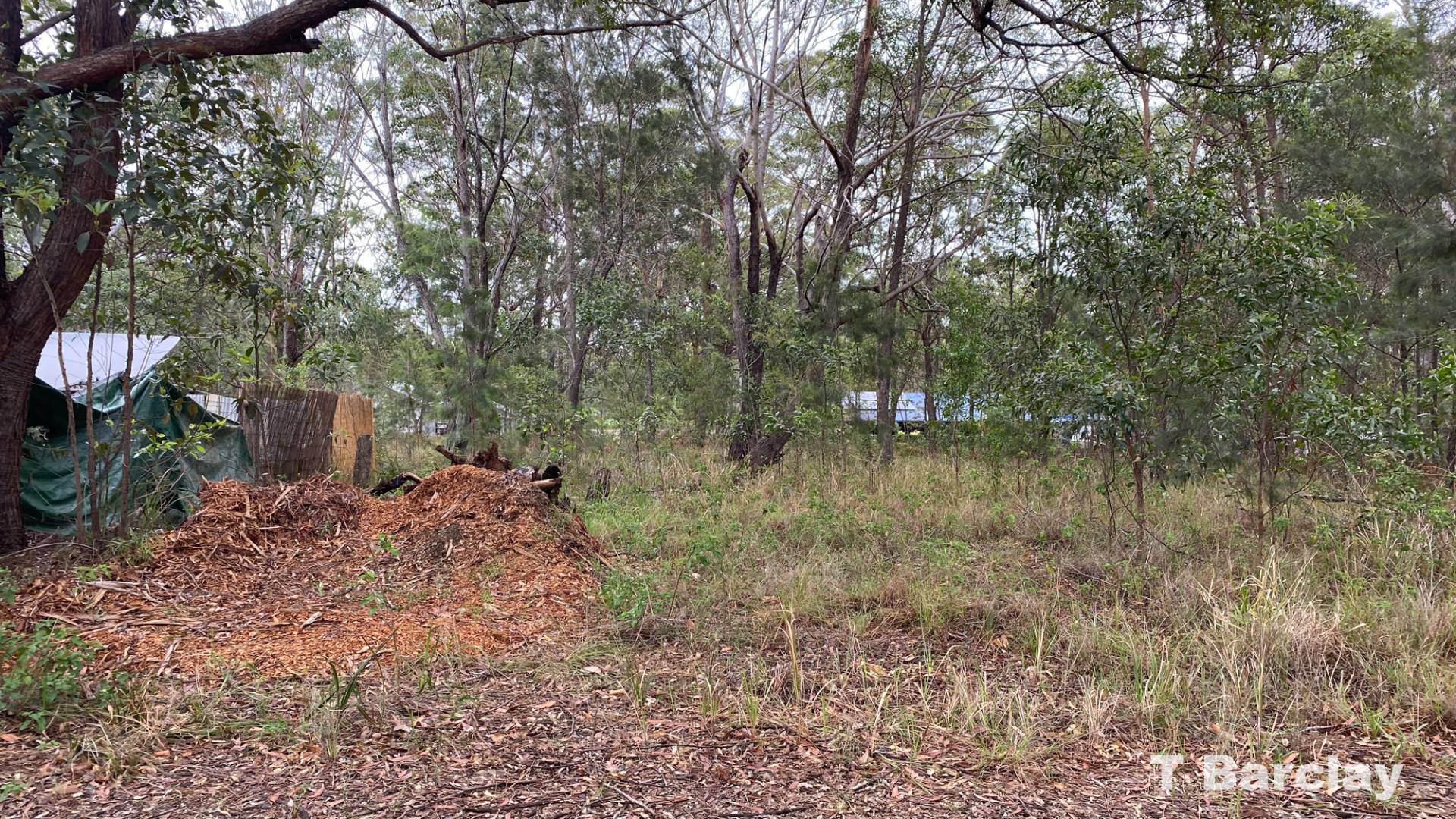 40 Fernando Rd, Russell Island, Russell Island - Thumbnail 2
