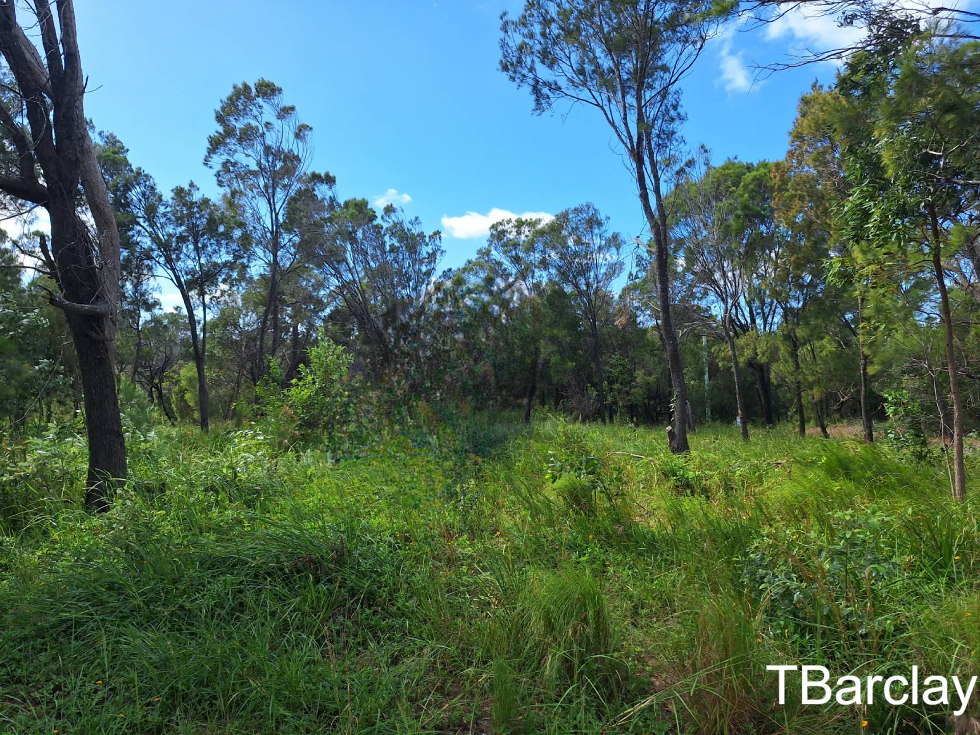1 Cluan St, Macleay Island, Macleay Island - Thumbnail 3