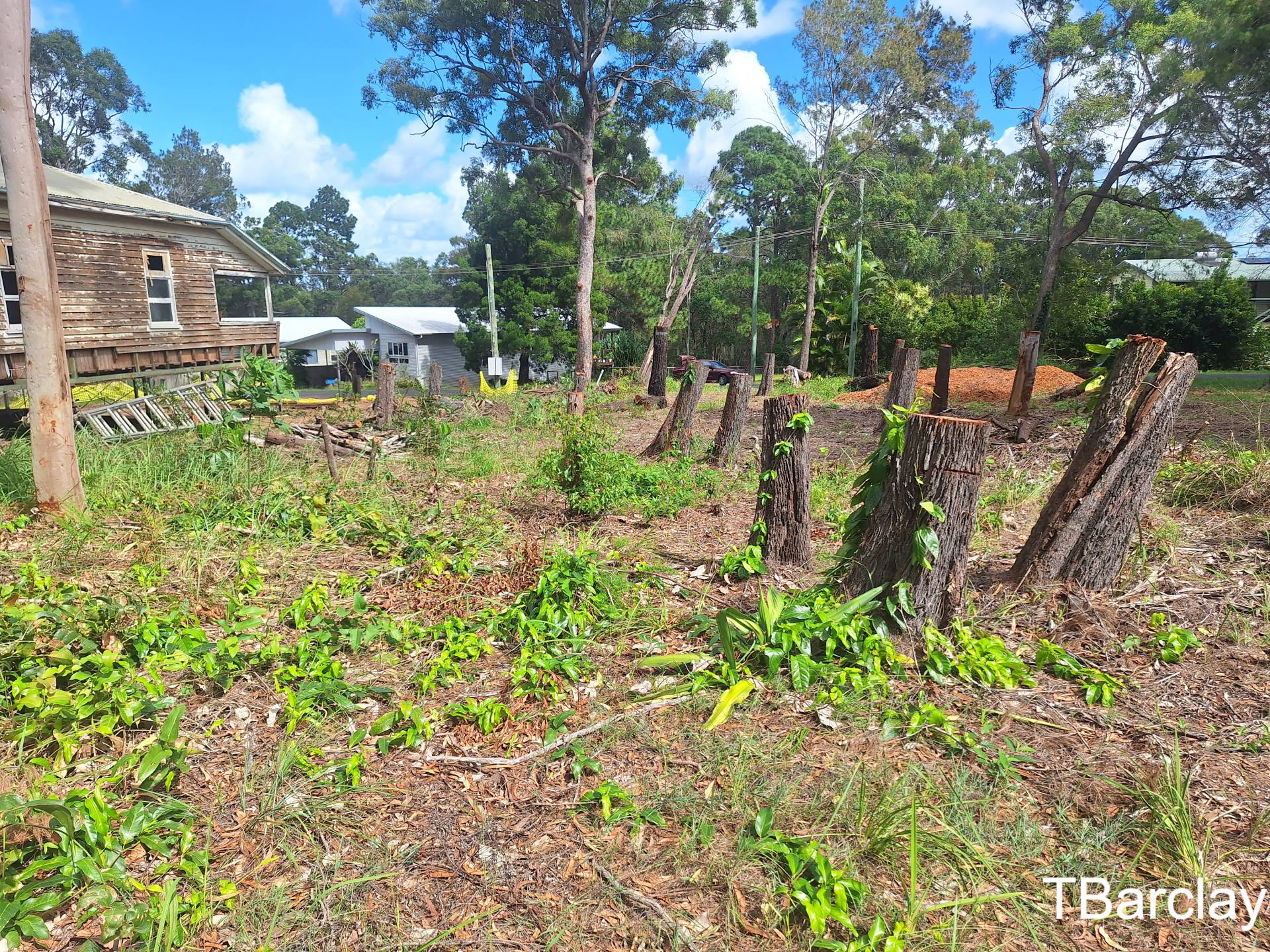 20 Alexander St, Macleay Island, Macleay Island - Thumbnail 4