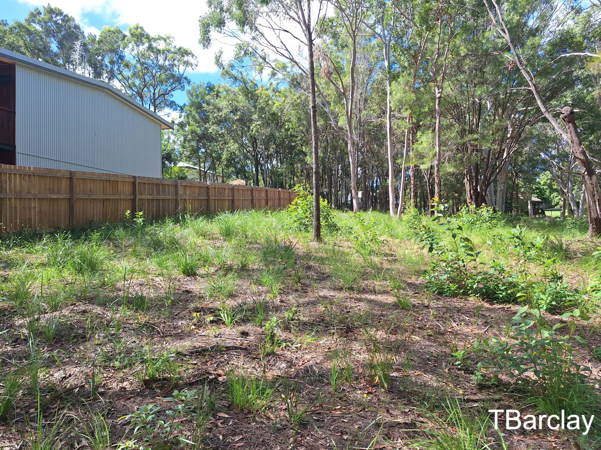 12 Devaney St, Macleay Island, Macleay Island - Thumbnail 3
