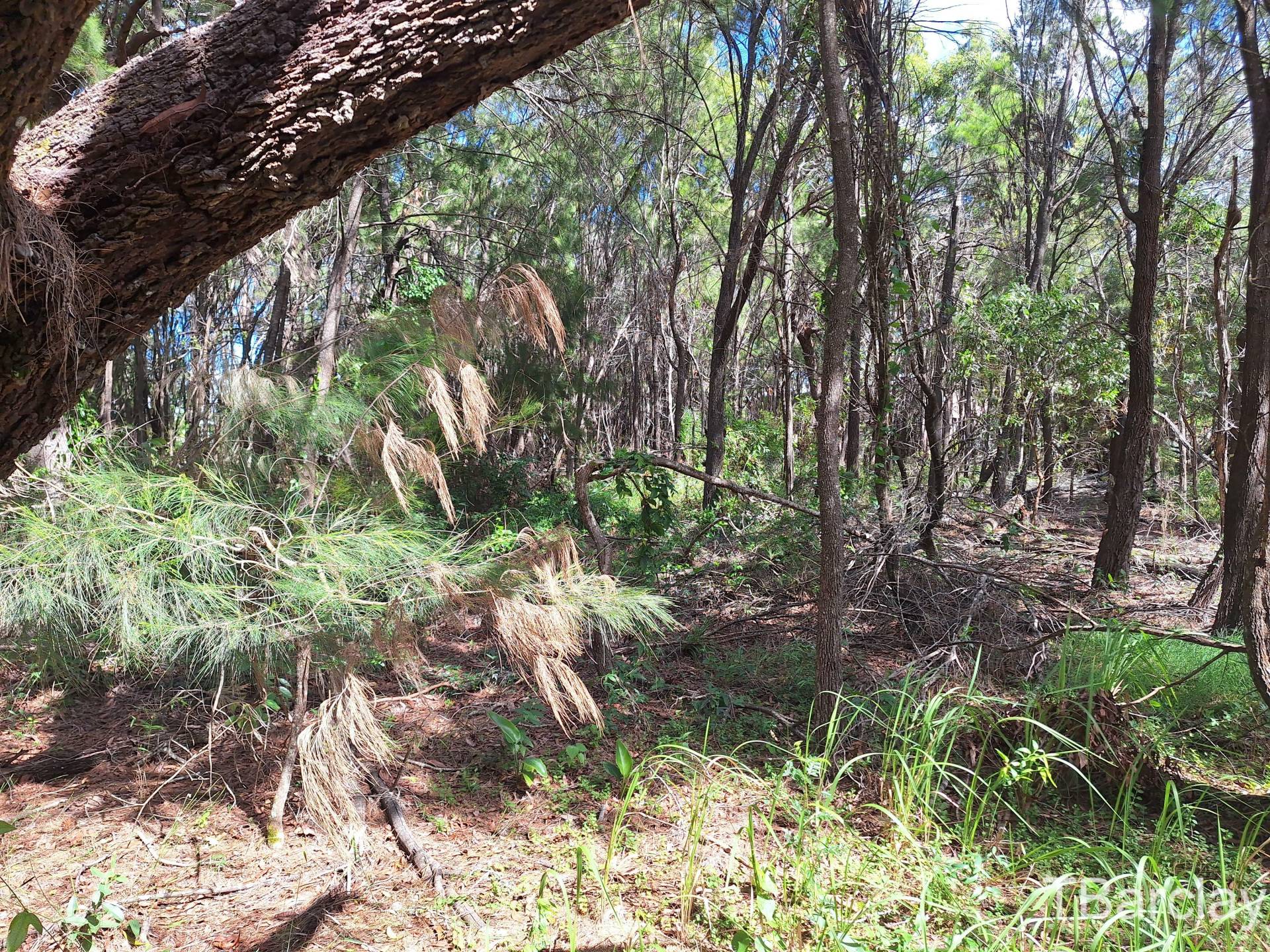 35 Brighton Rd, Macleay Island, Macleay Island - Thumbnail 5