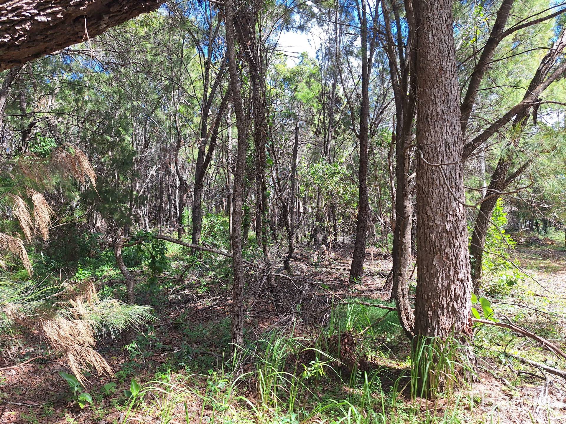 35 Brighton Rd, Macleay Island, Macleay Island - Thumbnail 6