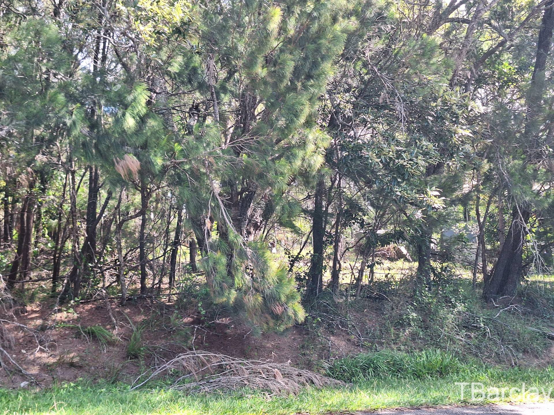 35 Brighton Rd, Macleay Island, Macleay Island - Thumbnail 3