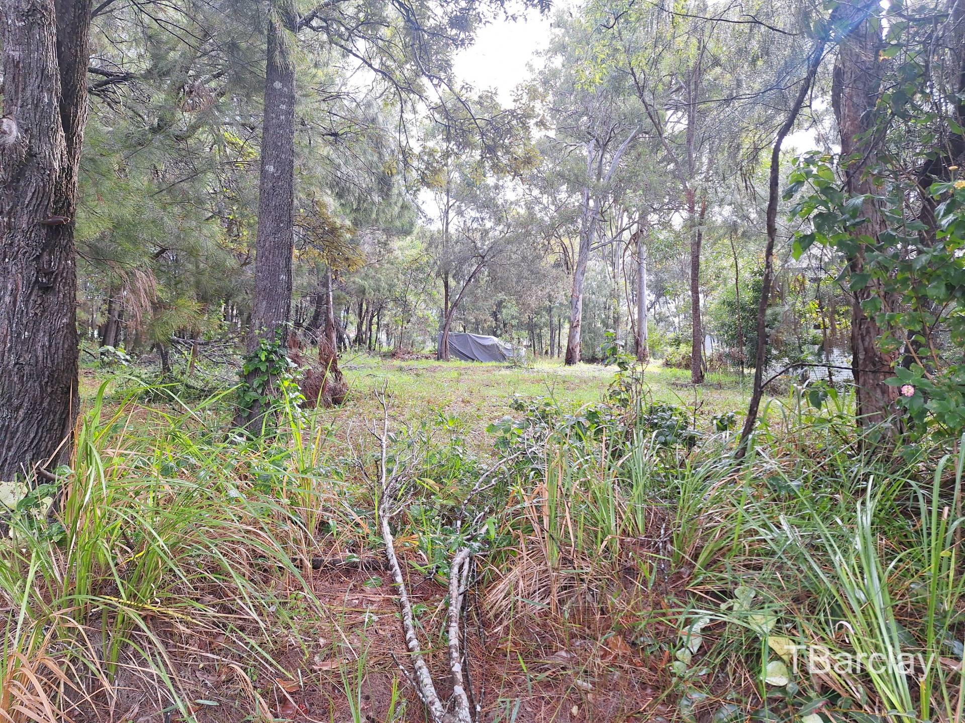 37 Brighton Rd, Macleay Island, Macleay Island - Thumbnail 2
