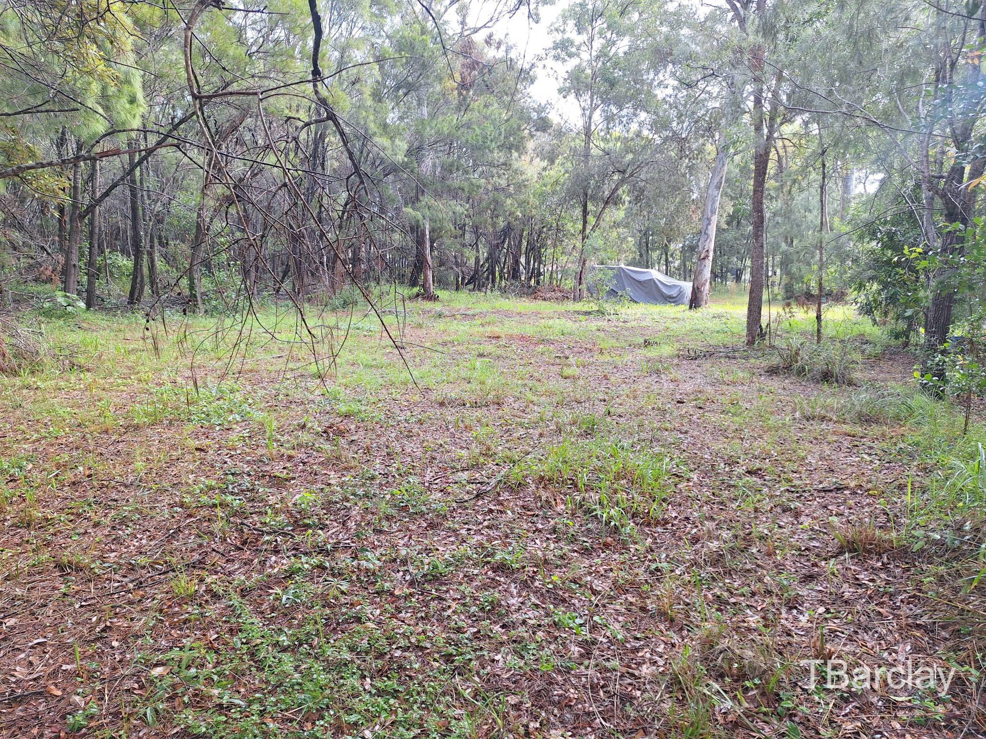 37 Brighton Rd, Macleay Island, Macleay Island - Thumbnail 4