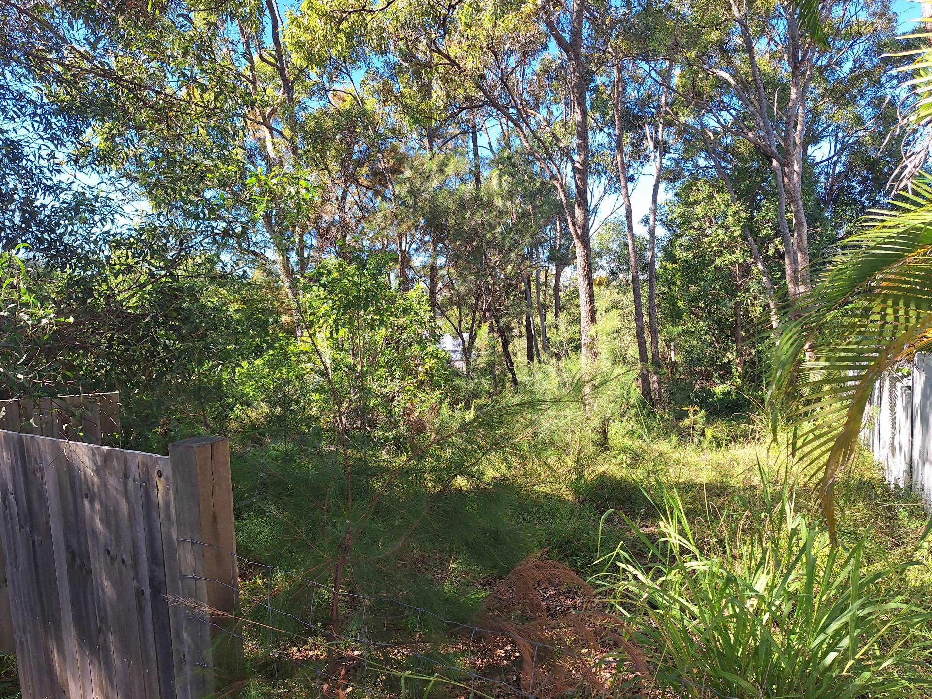 13 Ashton St, Macleay Island, Macleay Island - Thumbnail 3