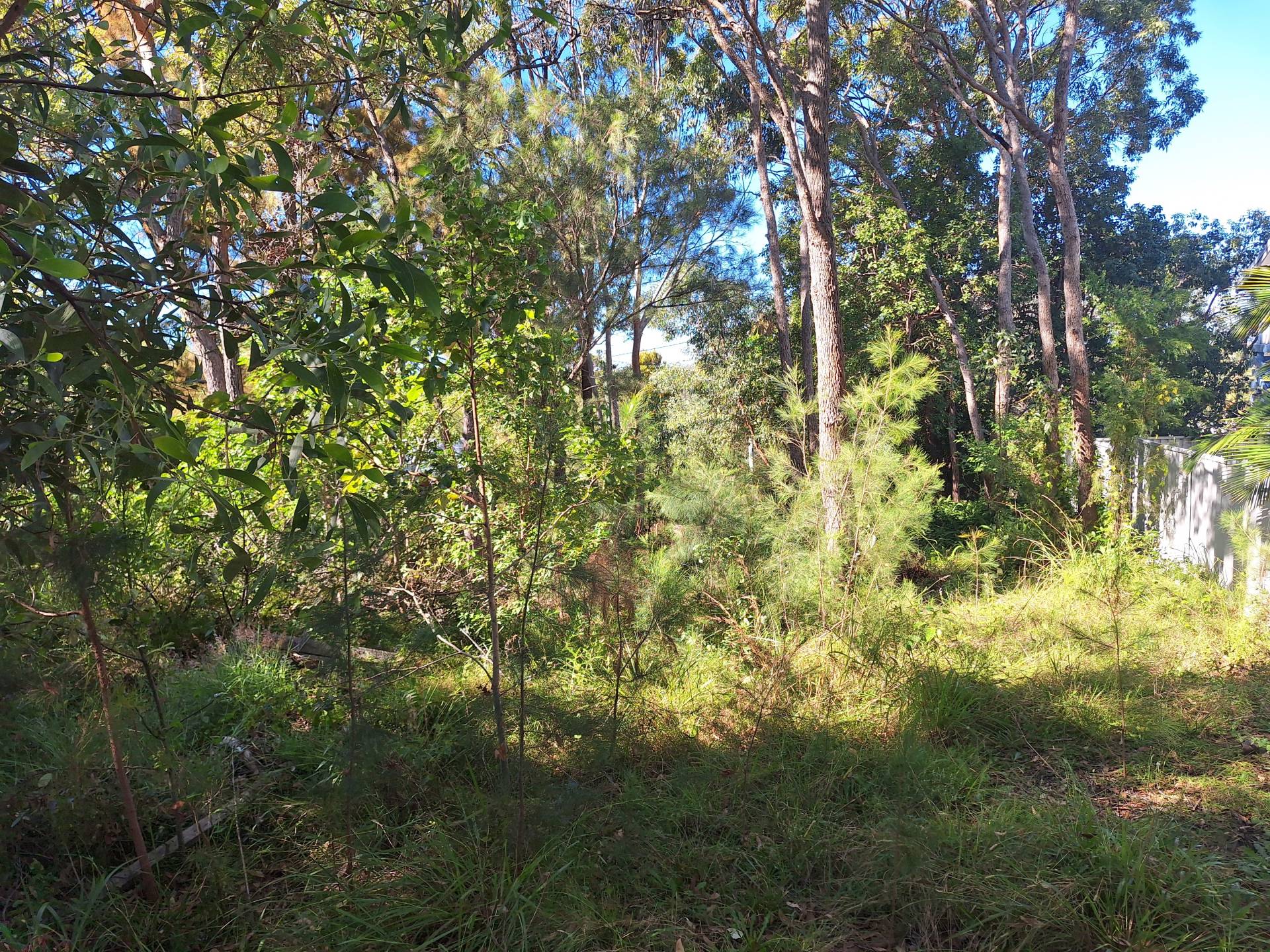 13 Ashton St, Macleay Island, Macleay Island - Thumbnail 6