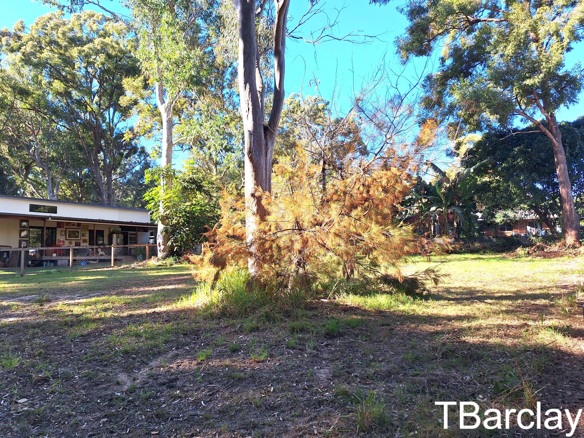 7 Derwent St, Macleay Island, Macleay Island - Thumbnail 3
