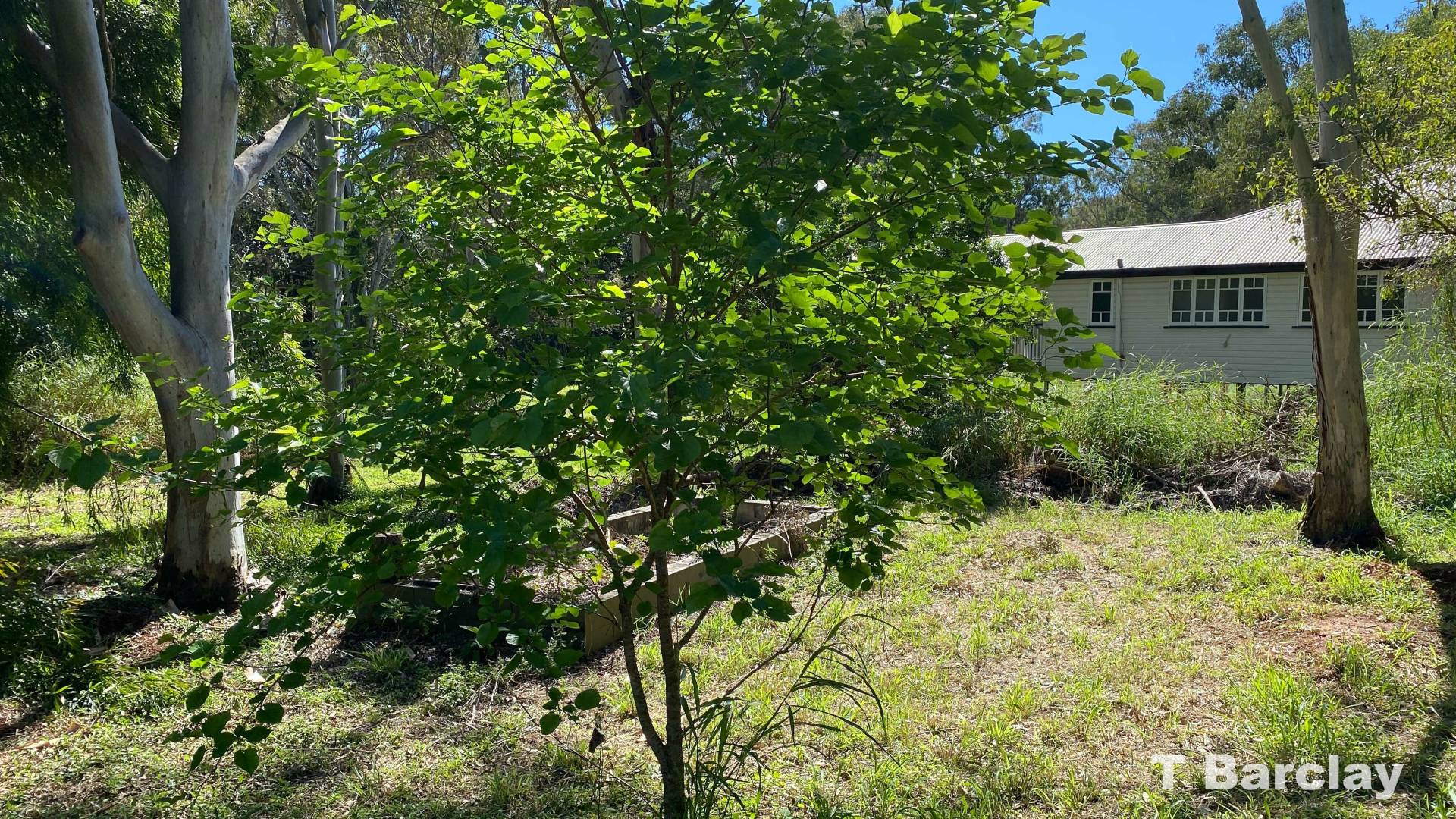 176-178 Lucas Dr, Lamb Island, Lamb Island - Thumbnail 8