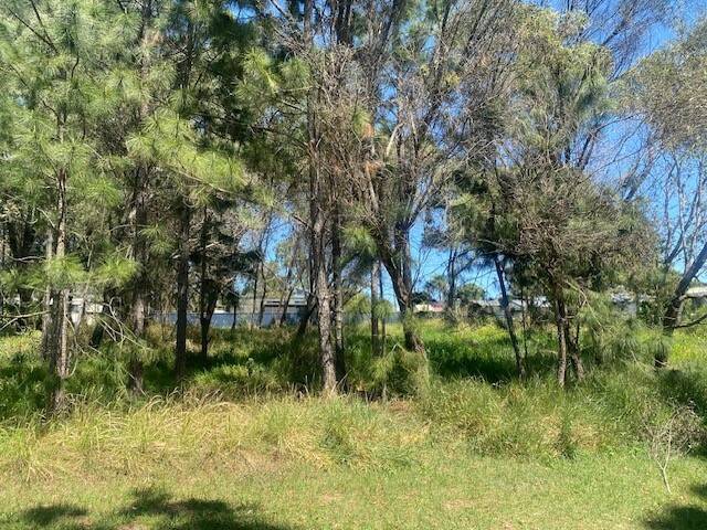 21 Lemontree Dr, Macleay Island, Macleay Island - Thumbnail 2