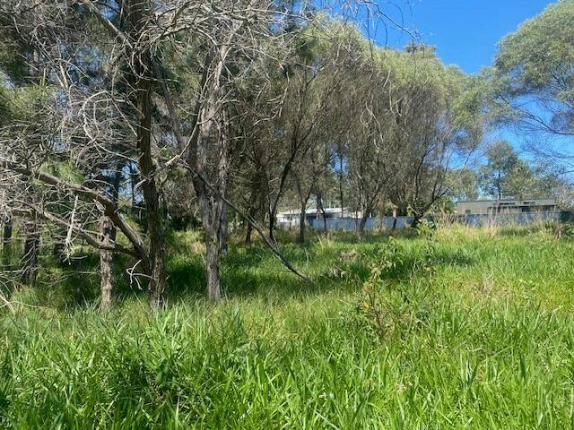 21 Lemontree Dr, Macleay Island, Macleay Island - Thumbnail 3