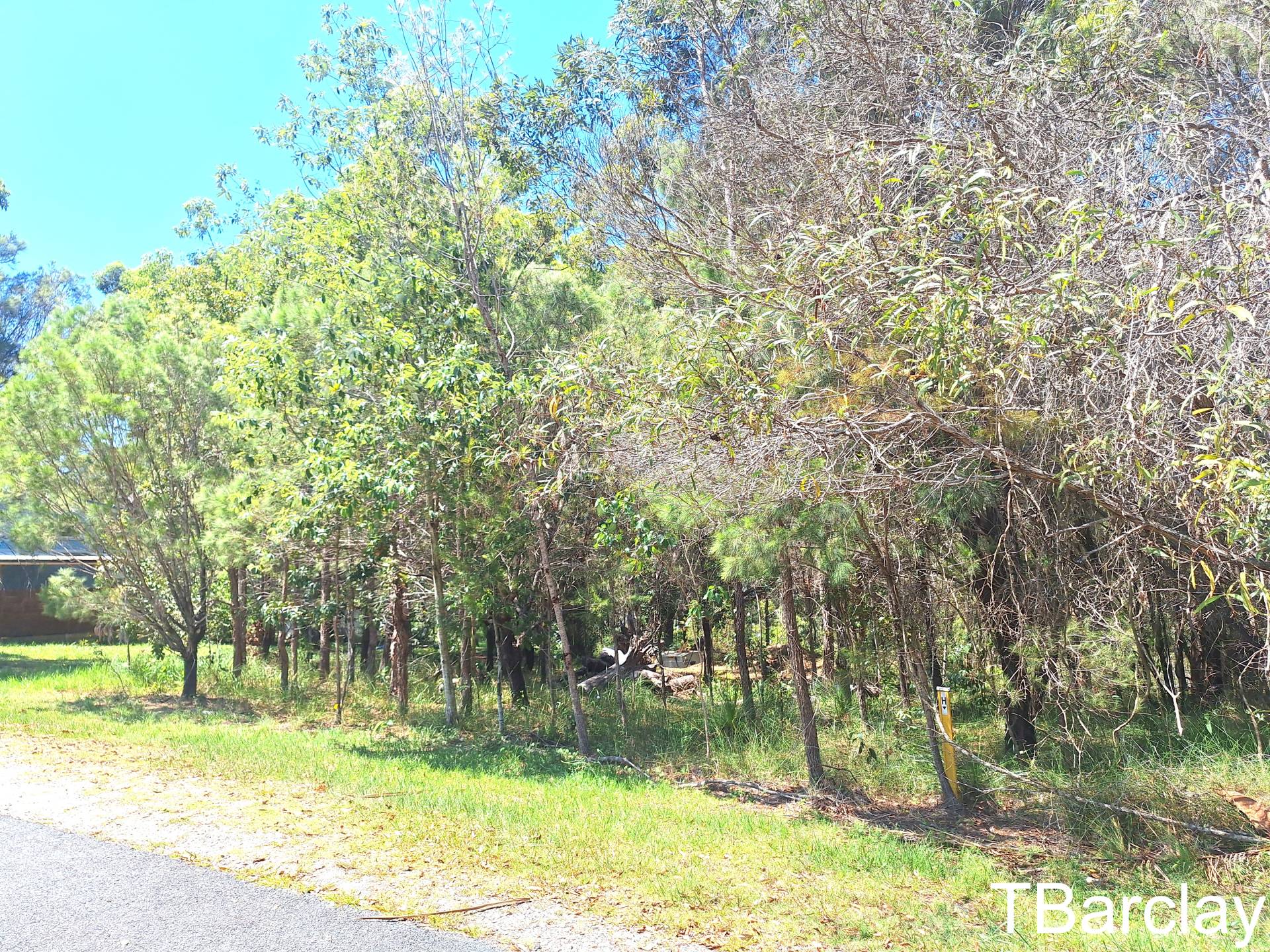 54 Wirralee St, Macleay Island, Macleay Island - Thumbnail 2