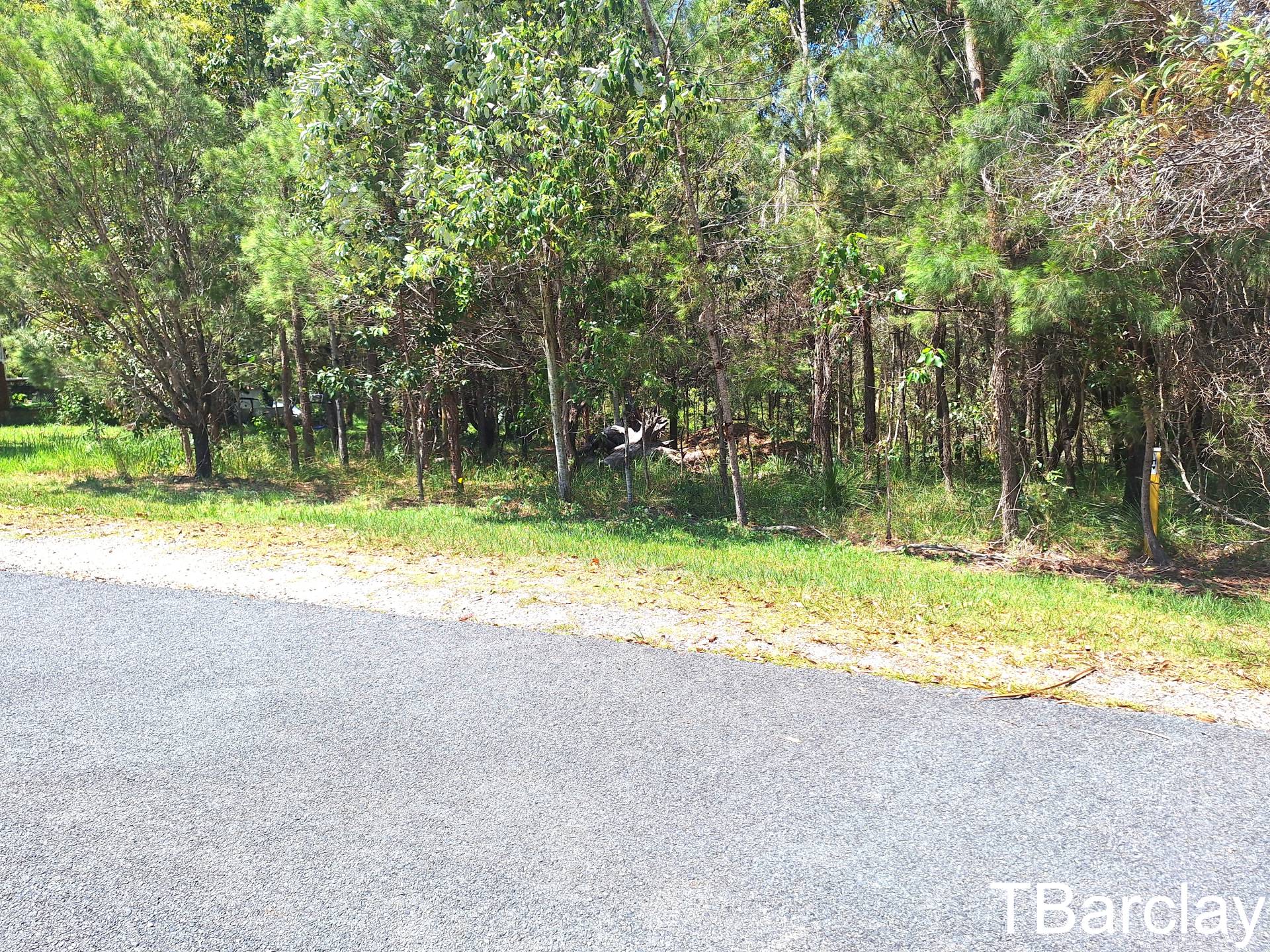 54 Wirralee St, Macleay Island, Macleay Island - Thumbnail 3