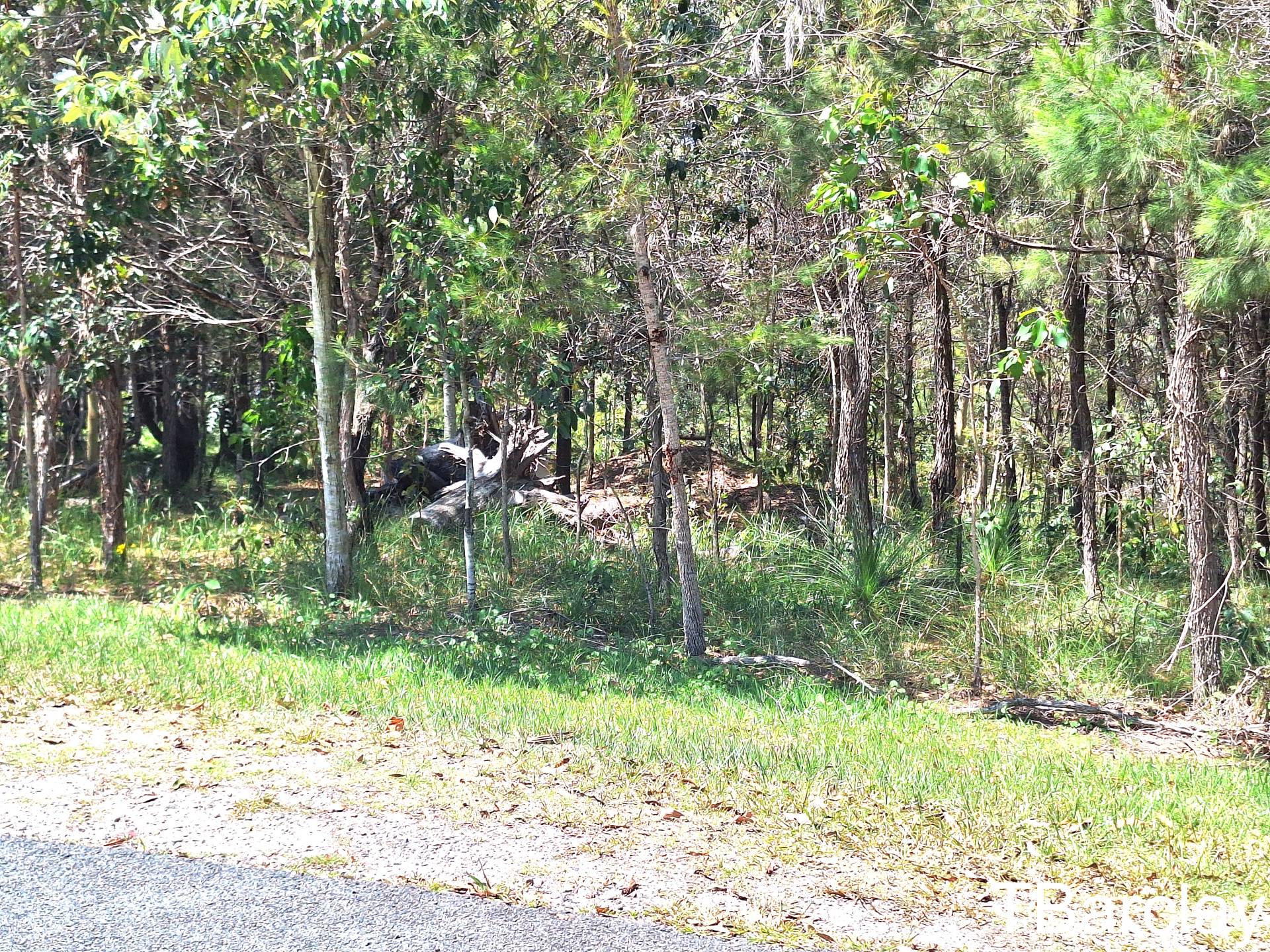 54 Wirralee St, Macleay Island, Macleay Island - Thumbnail 4