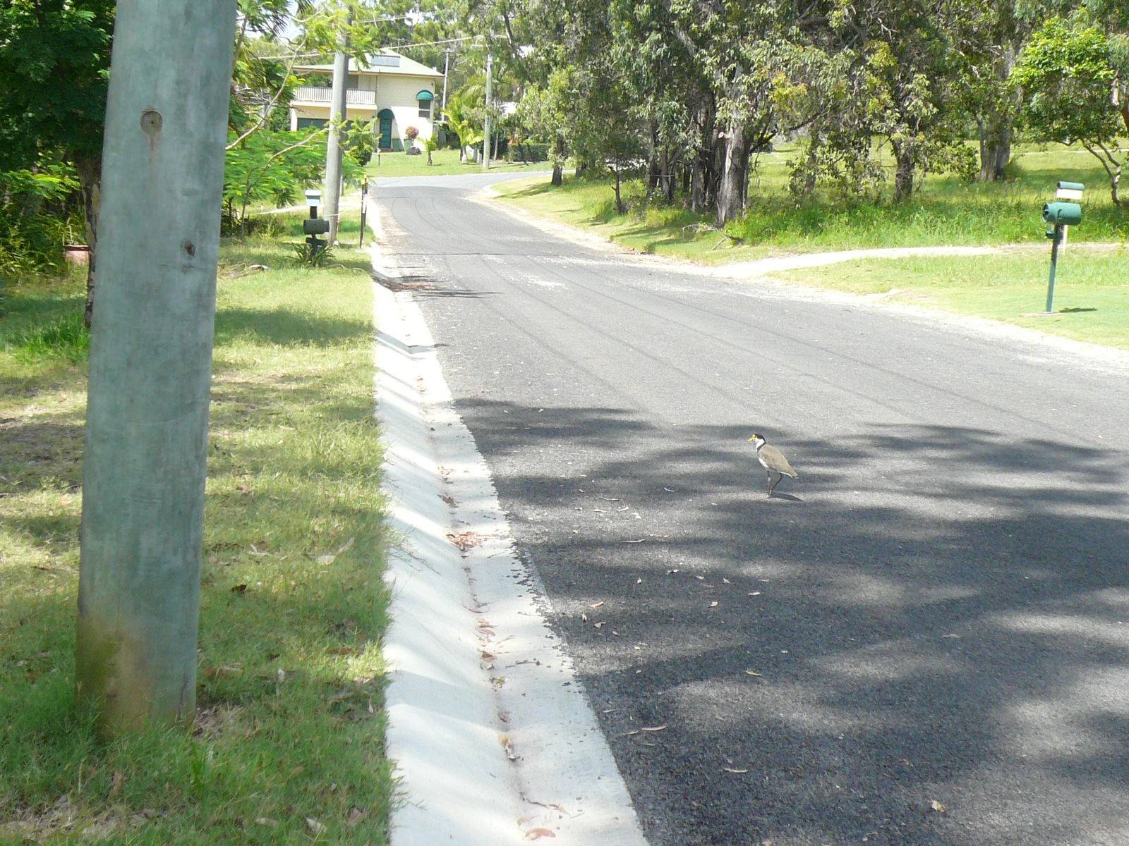 14 Alkira Street, Macleay Island, Macleay Island - Thumbnail 2