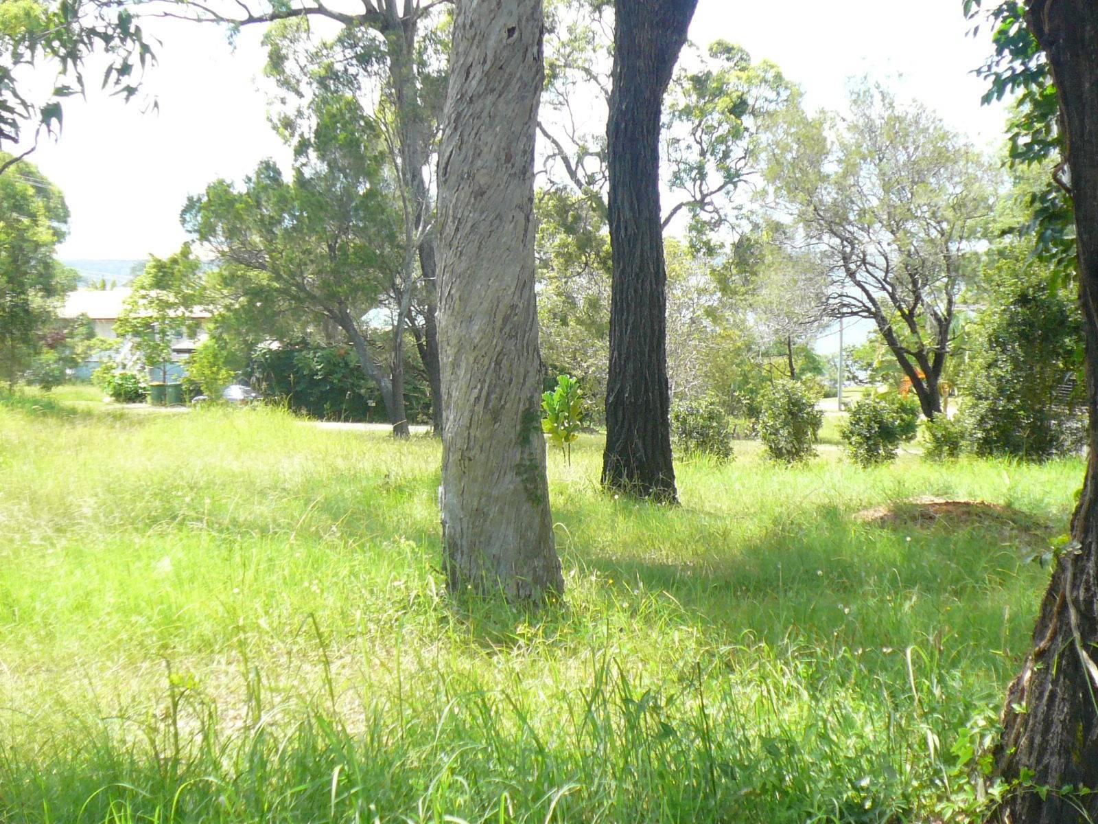 14 Alkira Street, Macleay Island, Macleay Island - Thumbnail 6