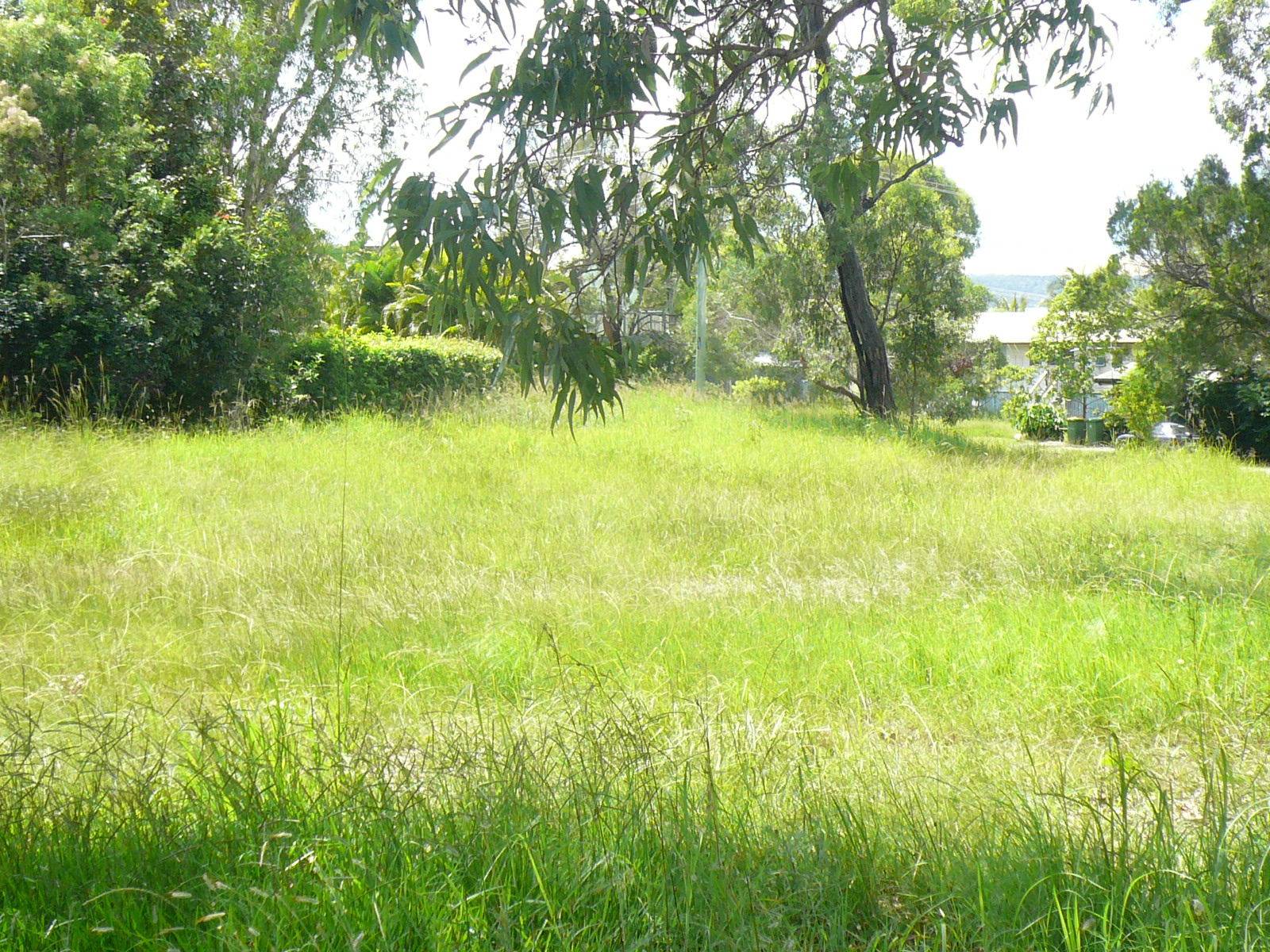 14 Alkira Street, Macleay Island, Macleay Island - Image 1