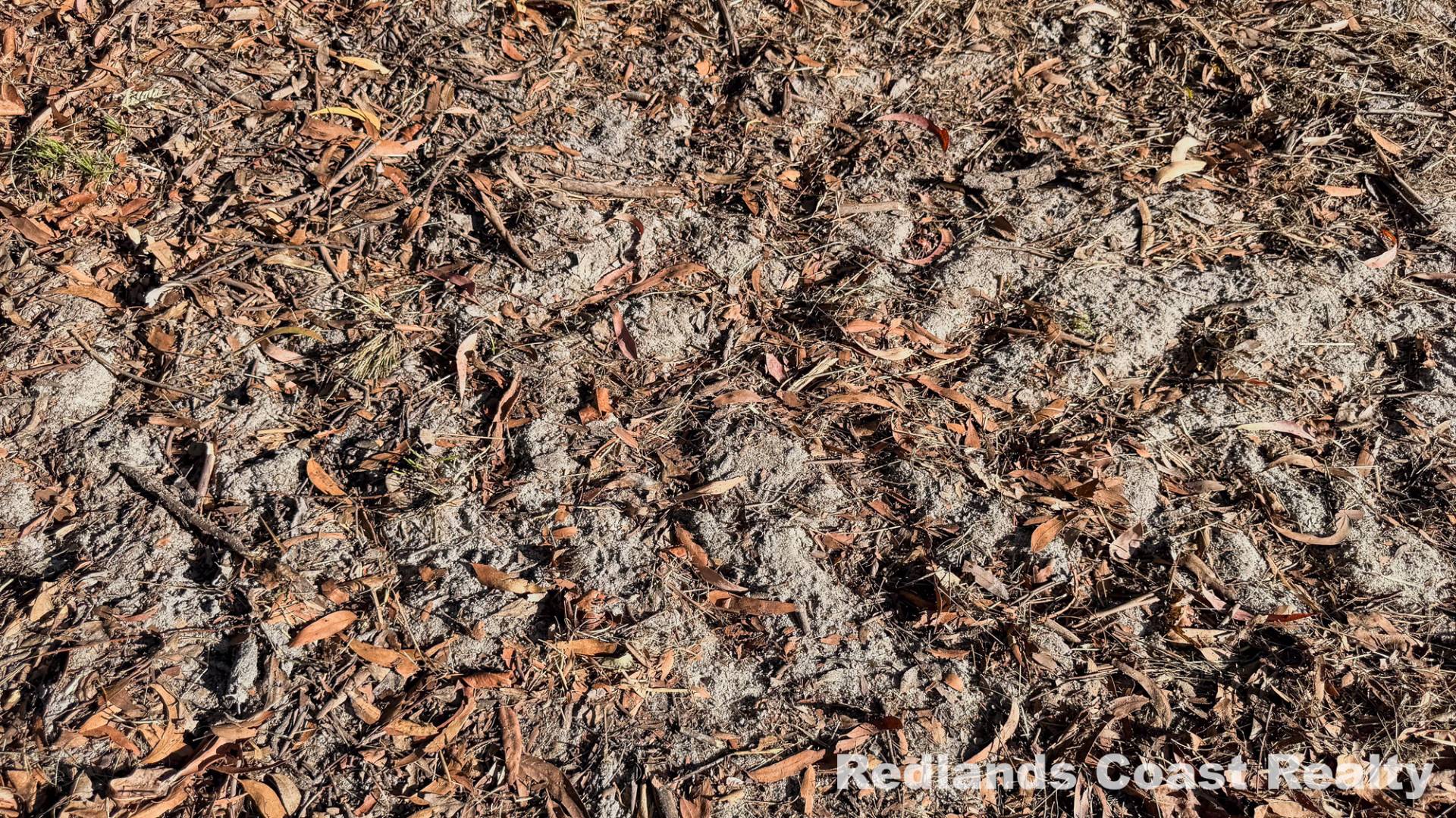 16 Dickenson Drive, Russell Island, Russell Island - Thumbnail 4