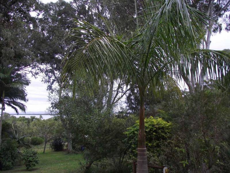 6 McBean Street, Karragarra Island, Karragarra Island - Thumbnail 2