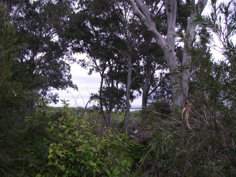 6 McBean Street, Karragarra Island, Karragarra Island - Thumbnail 4