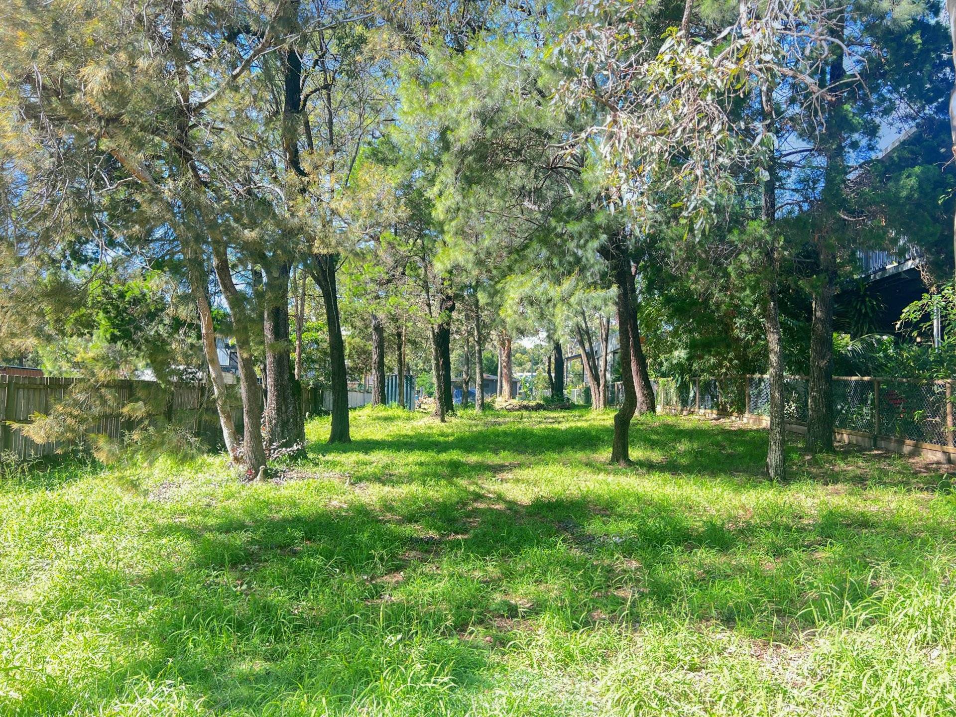 8 Attunga Street, Macleay Island, Macleay Island - Thumbnail 4