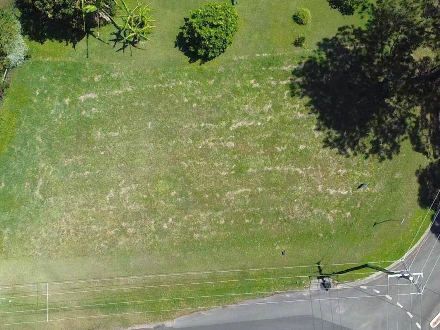 21 Kim Crescent, Macleay Island, Macleay Island - Thumbnail 3
