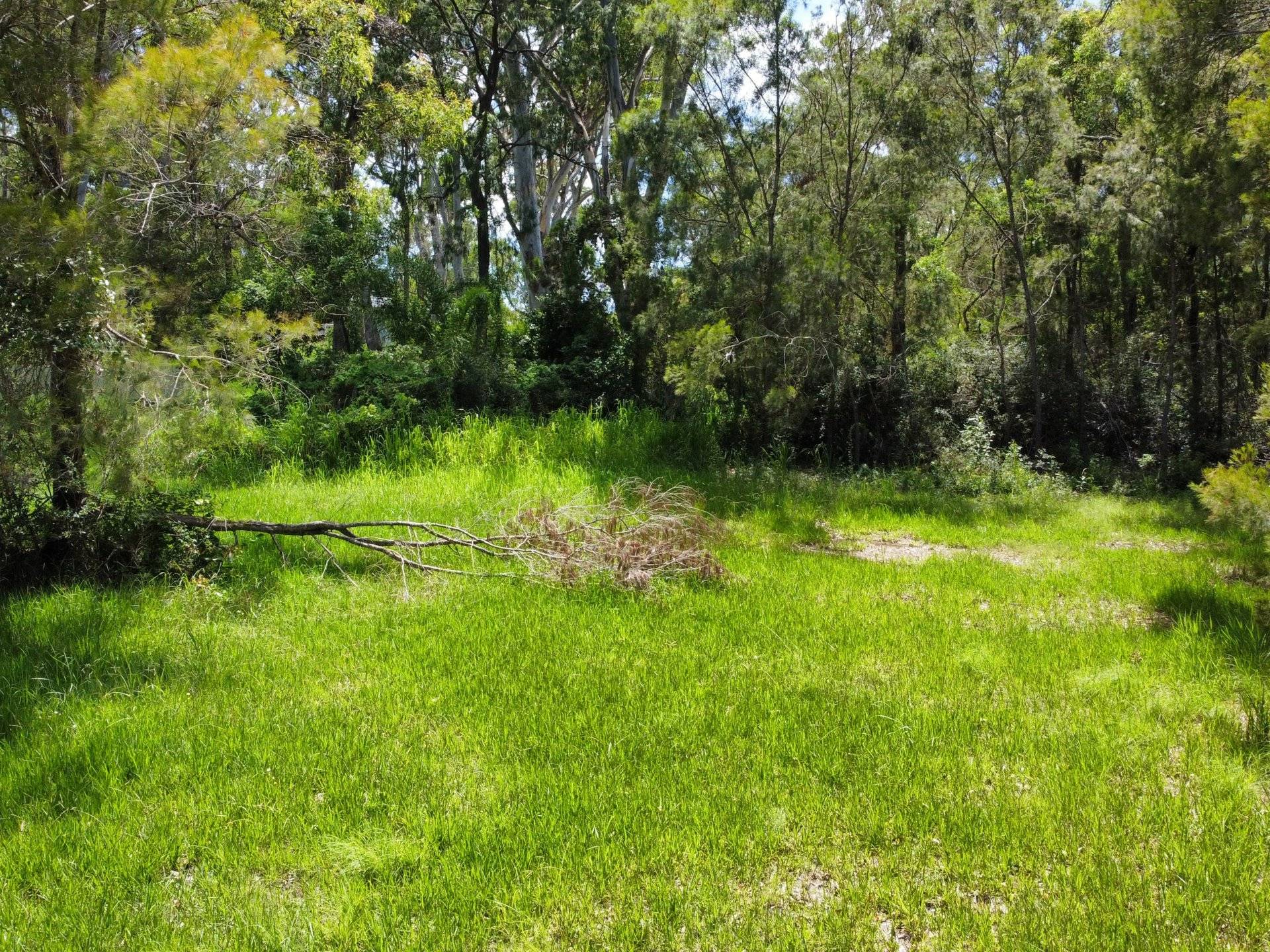 4 Cliff Terrace, Macleay Island, Macleay Island - Thumbnail 6
