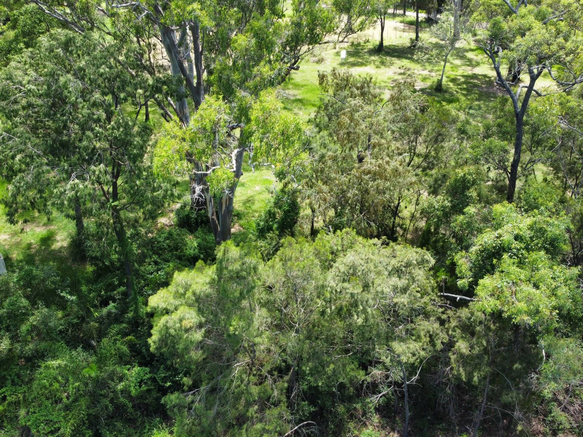 4 Cliff Terrace, Macleay Island, Macleay Island - Thumbnail 3